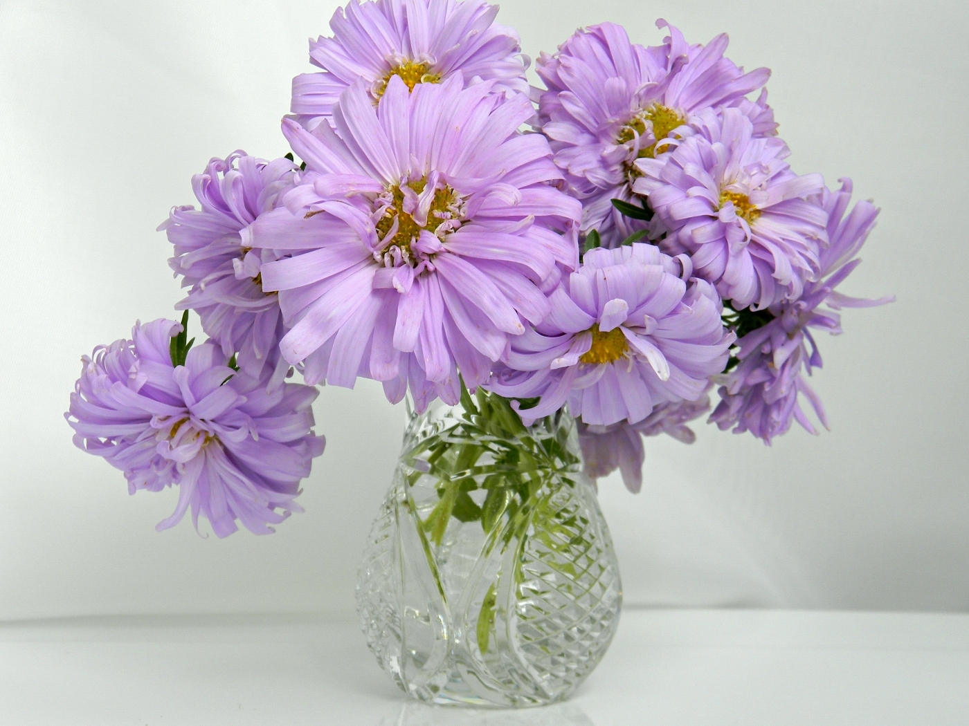Скачать обои бесплатно Цветы, Растения, Букеты картинка на рабочий стол ПК