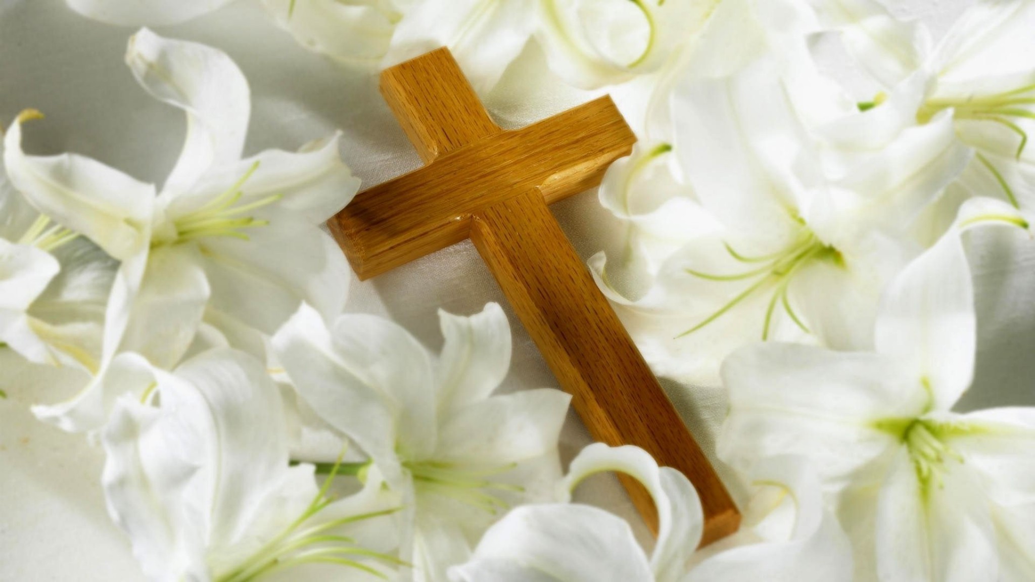 white flower, cross, religious, flower, christian, lily