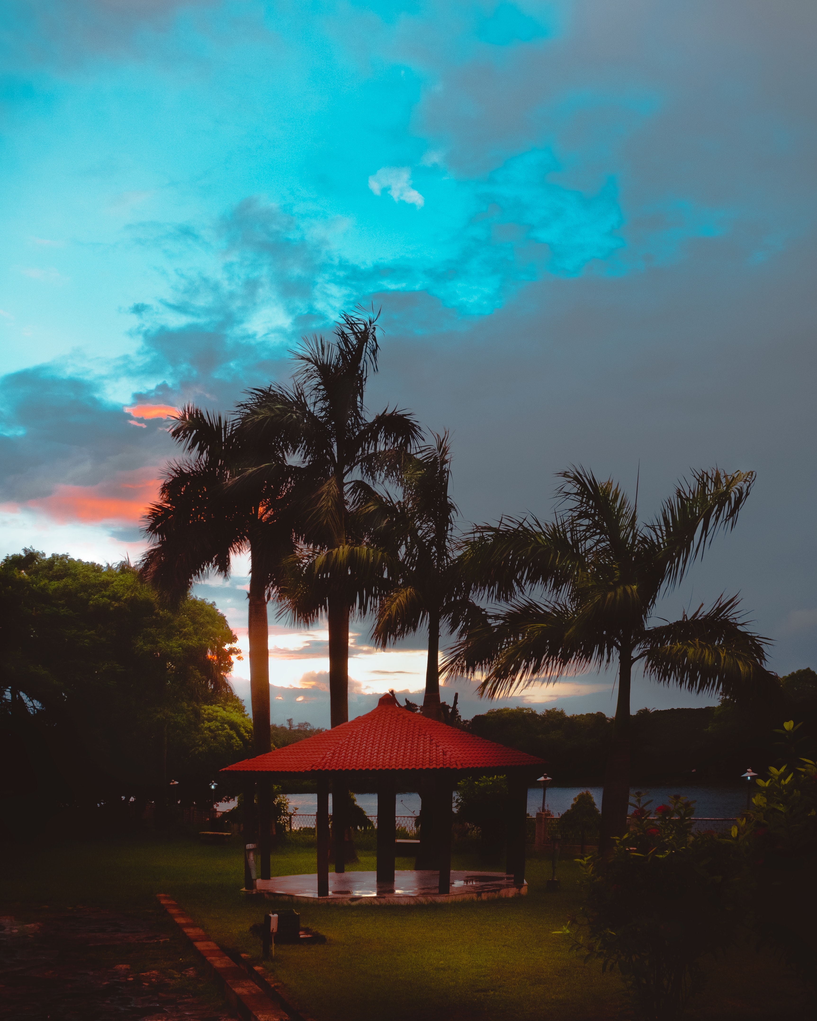 bower, nature, sunset, sky, palms, tropics, alcove High Definition image