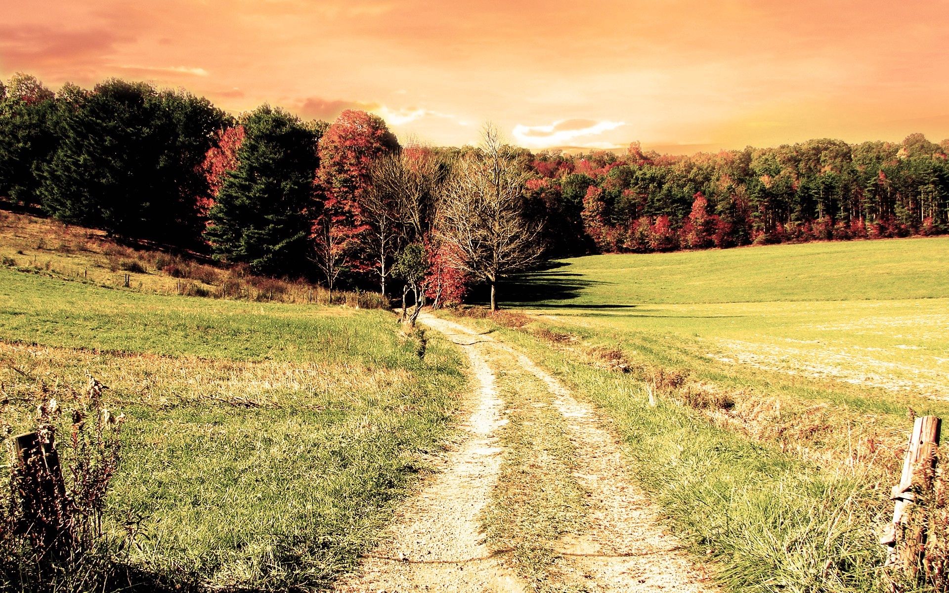 Download mobile wallpaper Nature, Autumn, Field, Trees, Forest, Road, Colors, Color for free.
