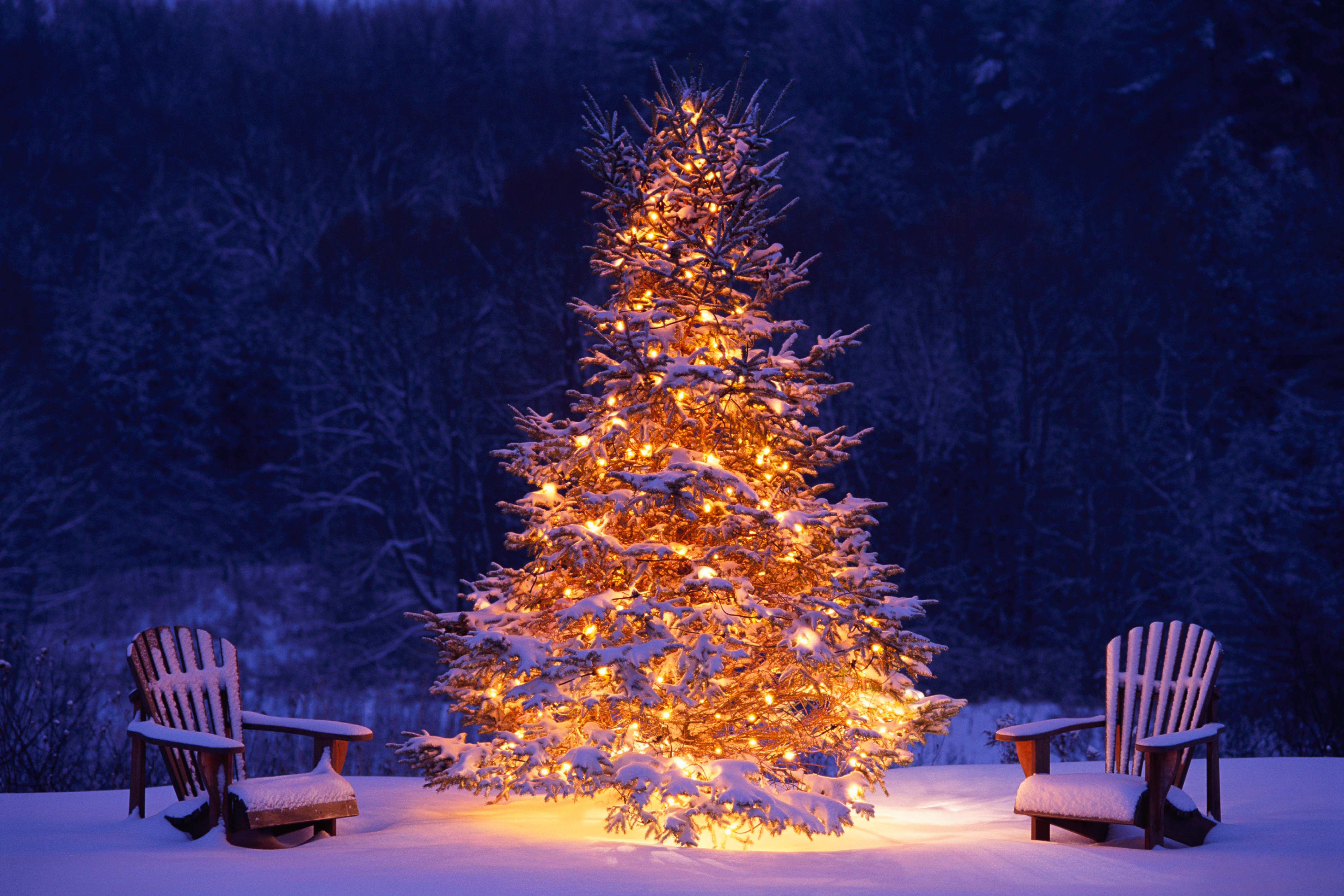 1529888壁紙のダウンロードクリスマス, ホリデー, クリスマスツリー, 椅子, ライト, 雪, 木, 冬-スクリーンセーバーと写真を無料で