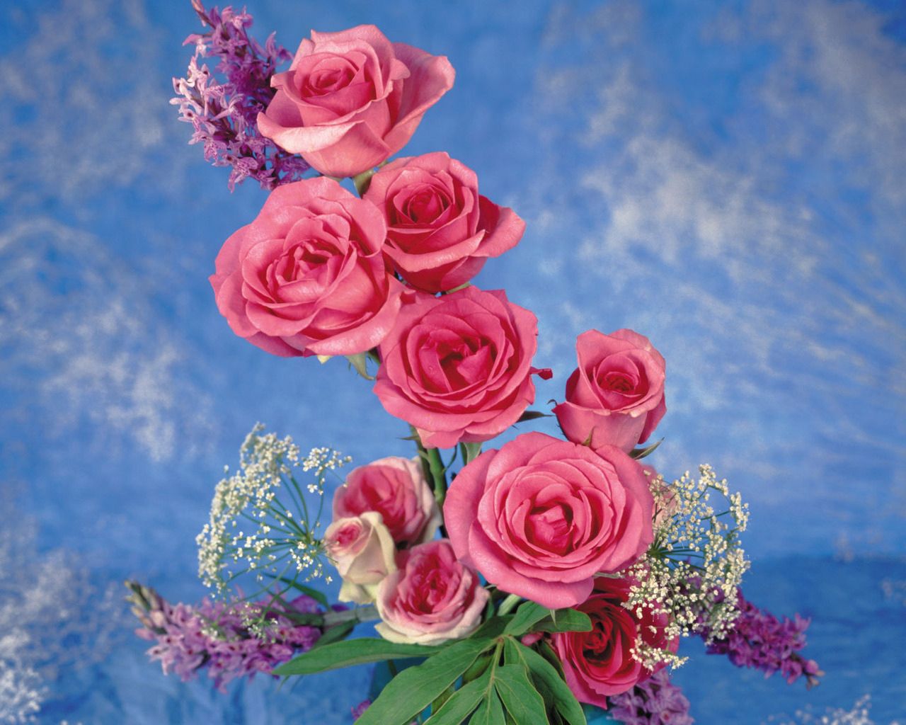 Mobile HD Wallpaper Roses 