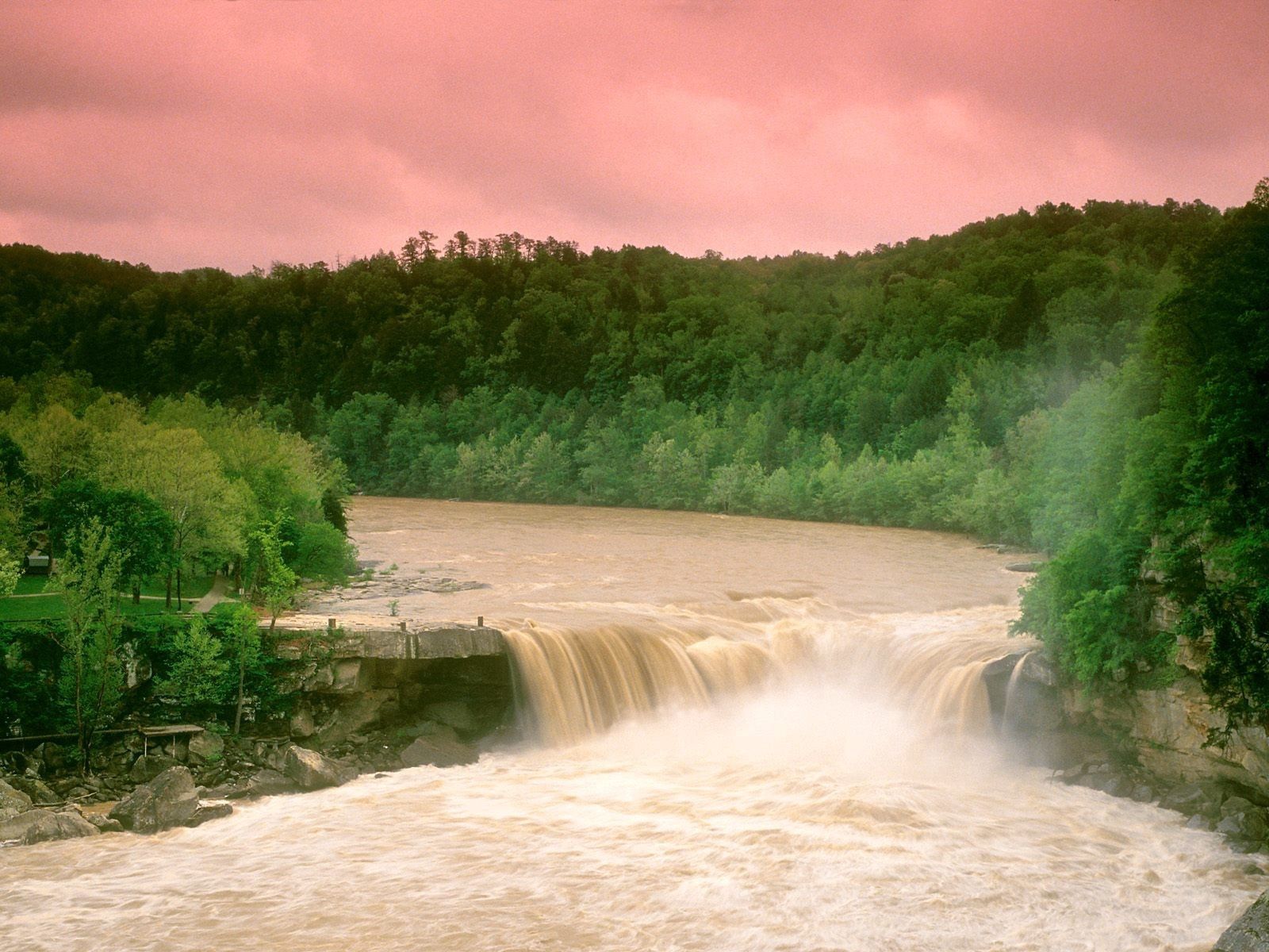 Скачать обои бесплатно Cumberland Falls, Кентукки, Вода, Лес, Природа, Деревья, Водопад картинка на рабочий стол ПК
