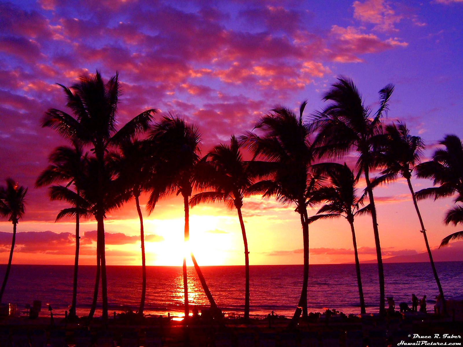 Майами пальмы закат