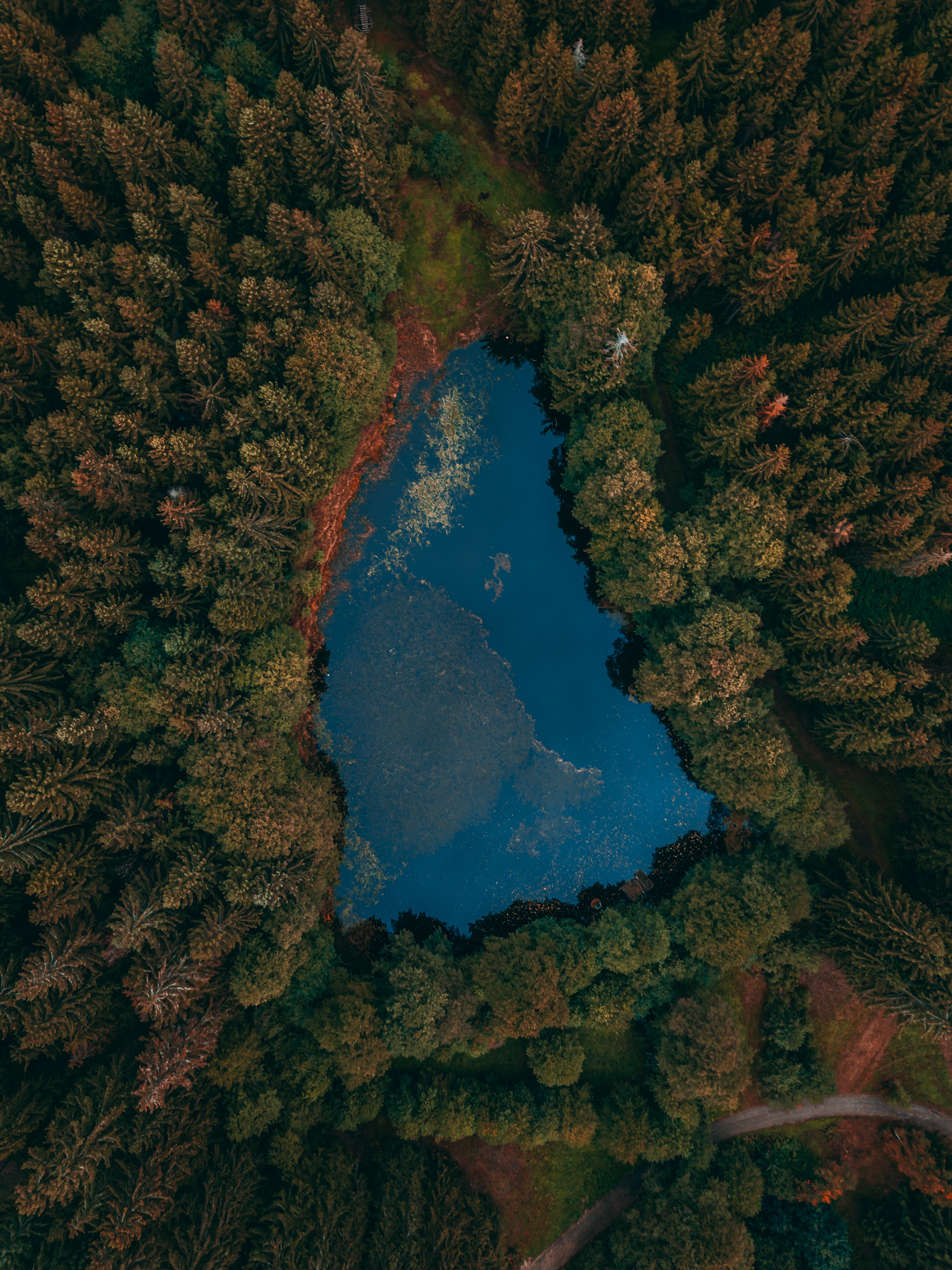 Download mobile wallpaper View From Above, Lake, Forest, Nature for free.
