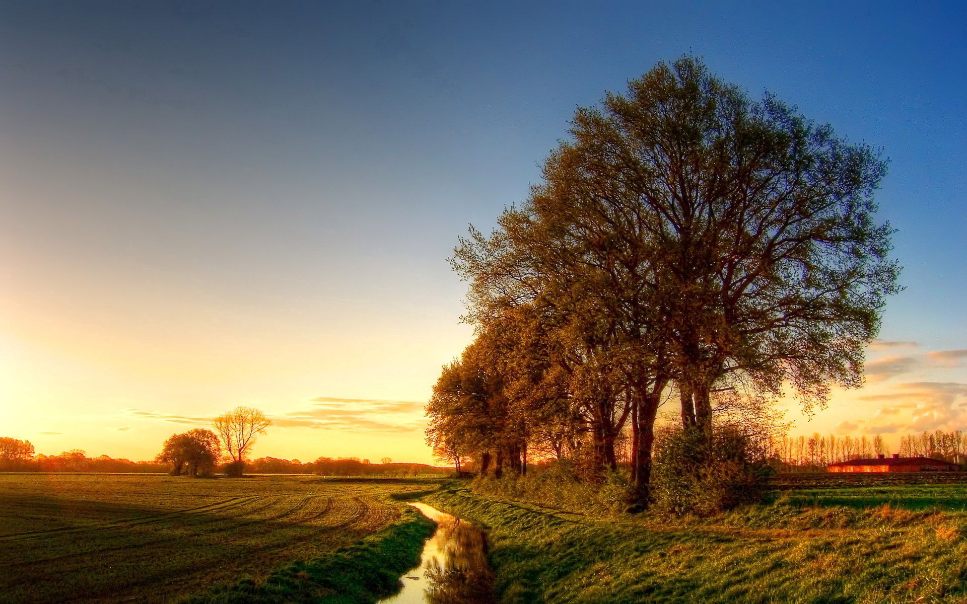 evening, trees, nature, water, shine, light, field, channel, moat, ditch HD wallpaper
