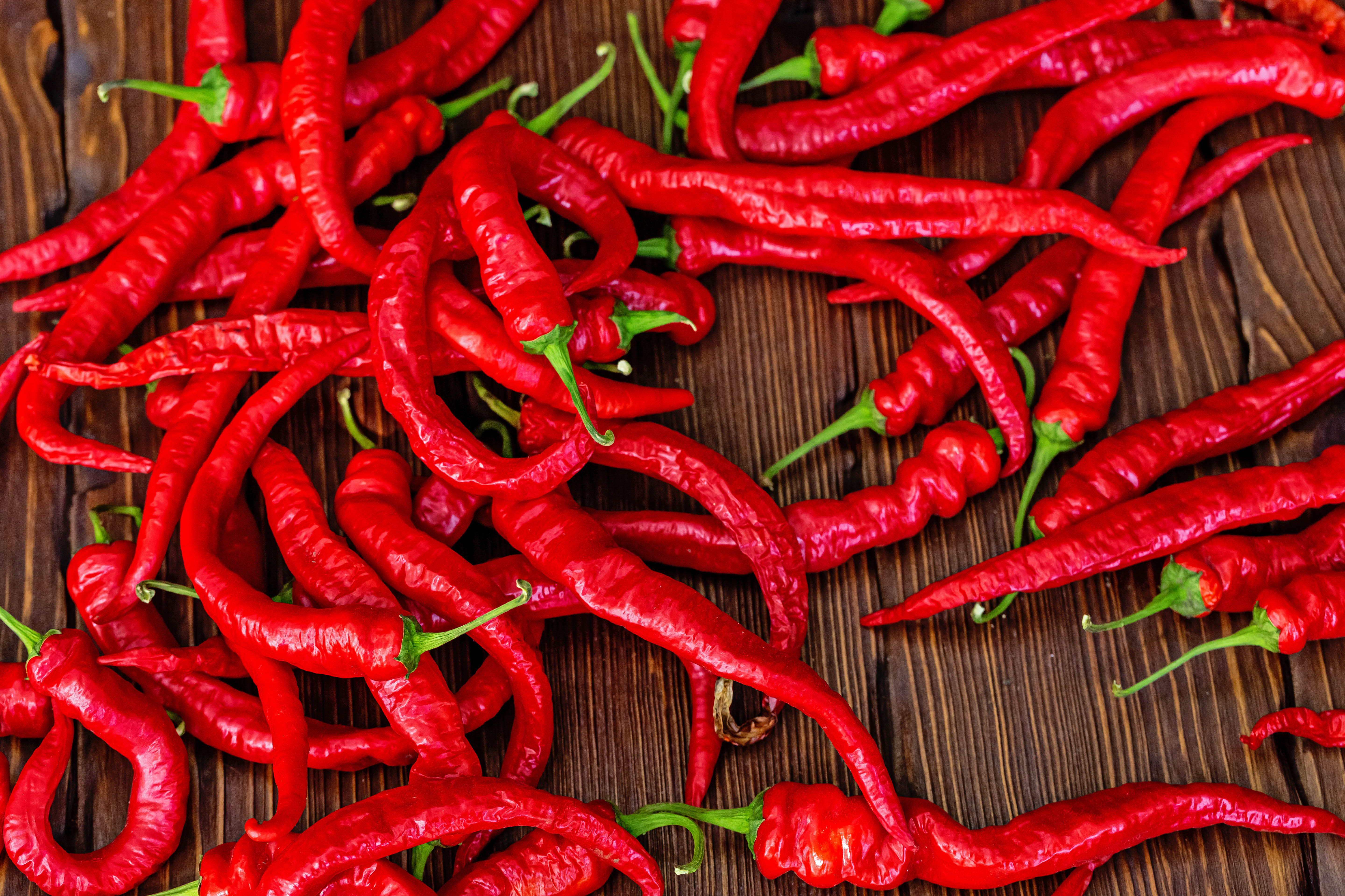 chili, food, pepper, red, acute, sharp, chilli