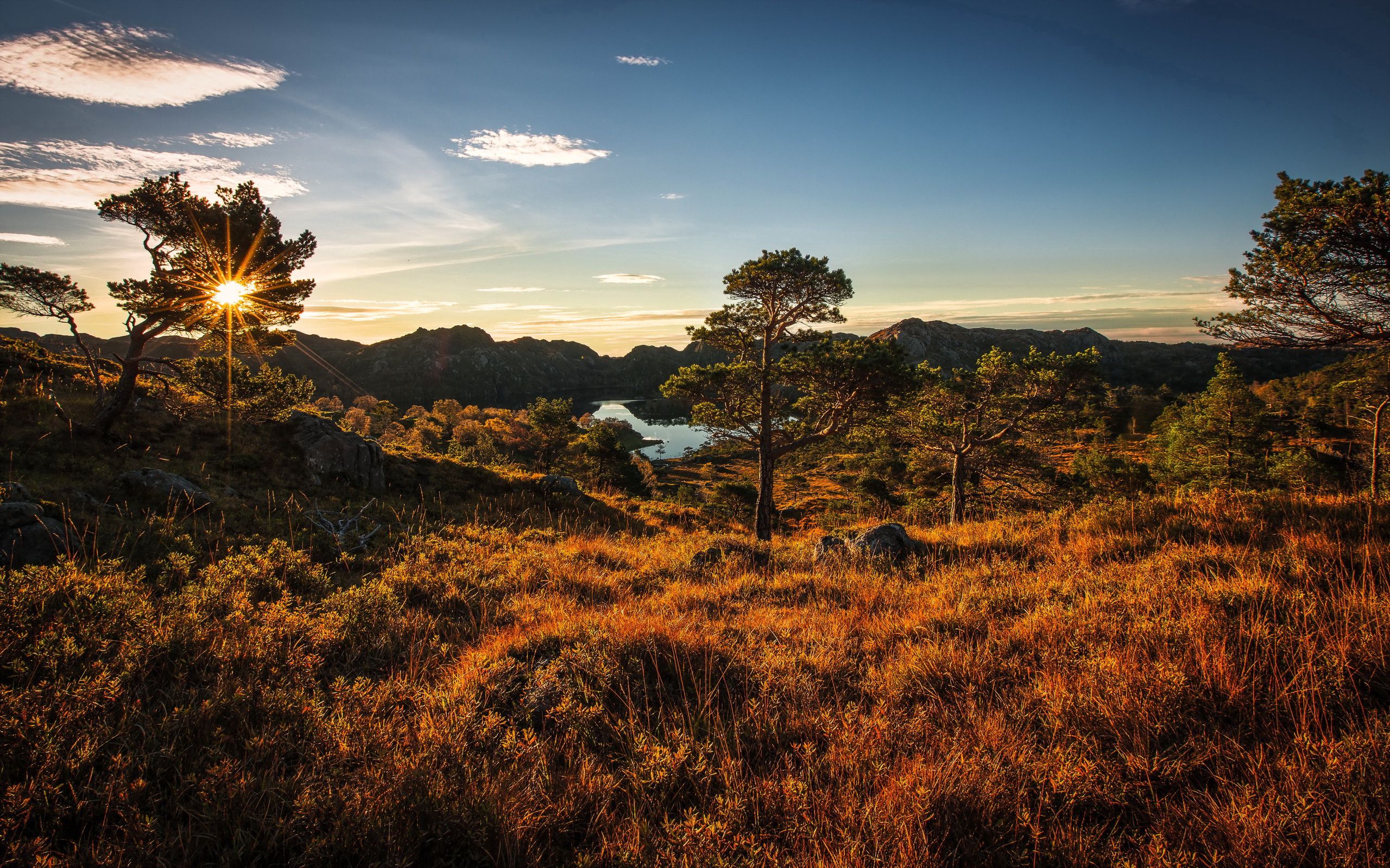 85939 скачать картинку норвегия, деревья, природа, трава, небо - обои и заставки бесплатно