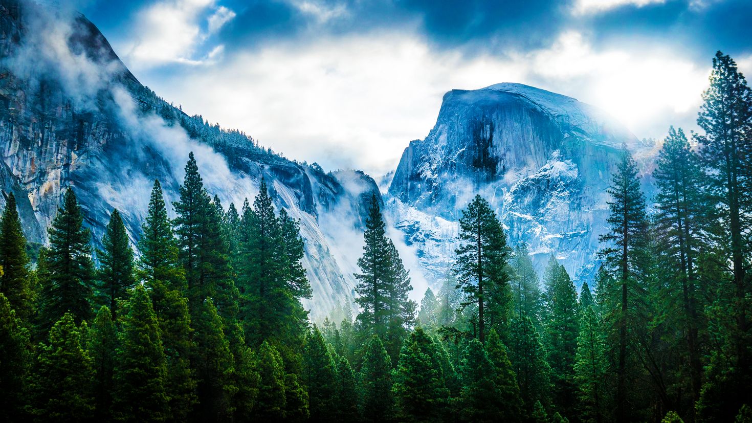 Лес горы слились все. Горы Сьерра Невада Макос. Йосемити хвойный лес. Мак ОС Йосемити. Йосемитский национальный парк.