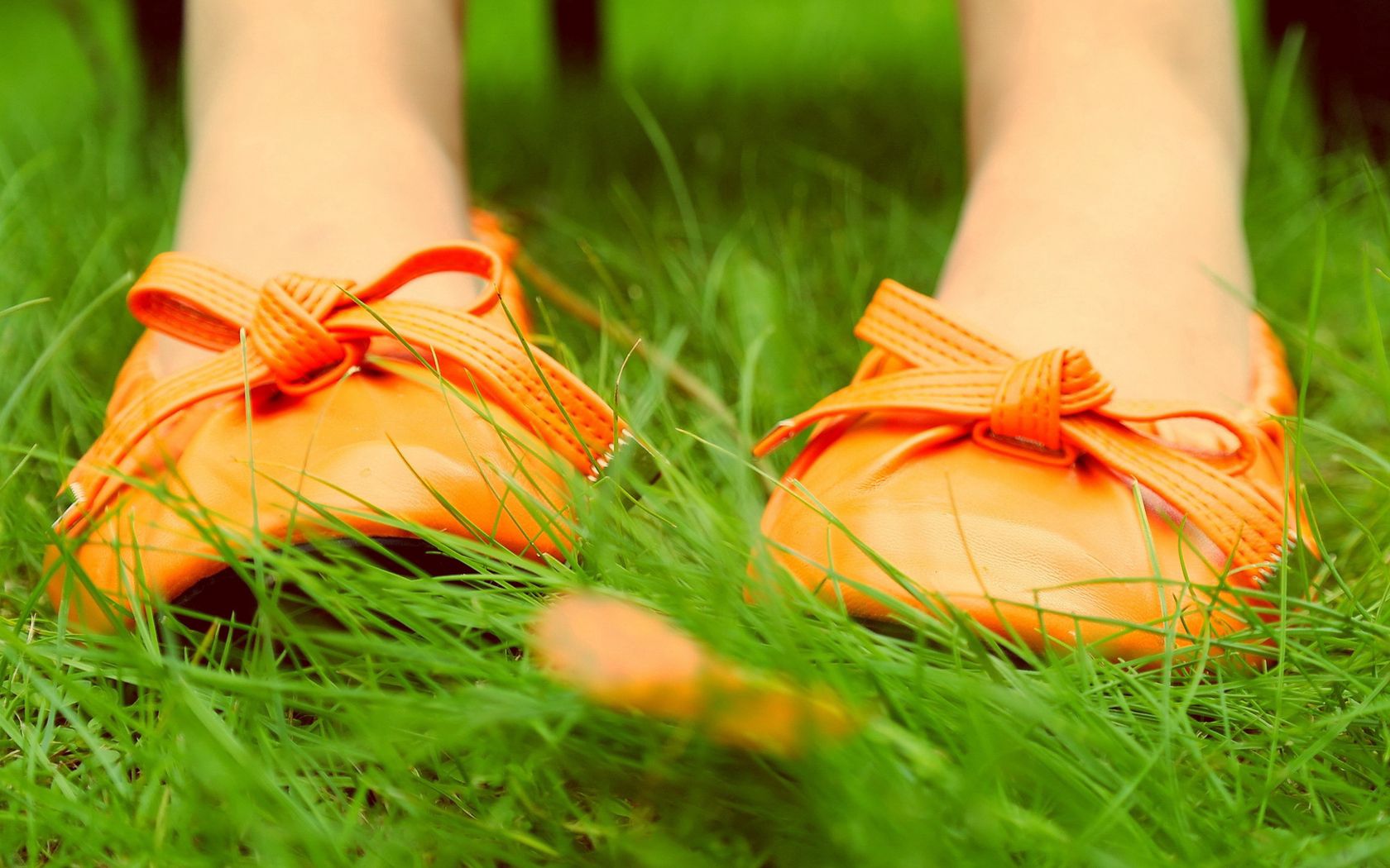 Оранжевые туфли и трава