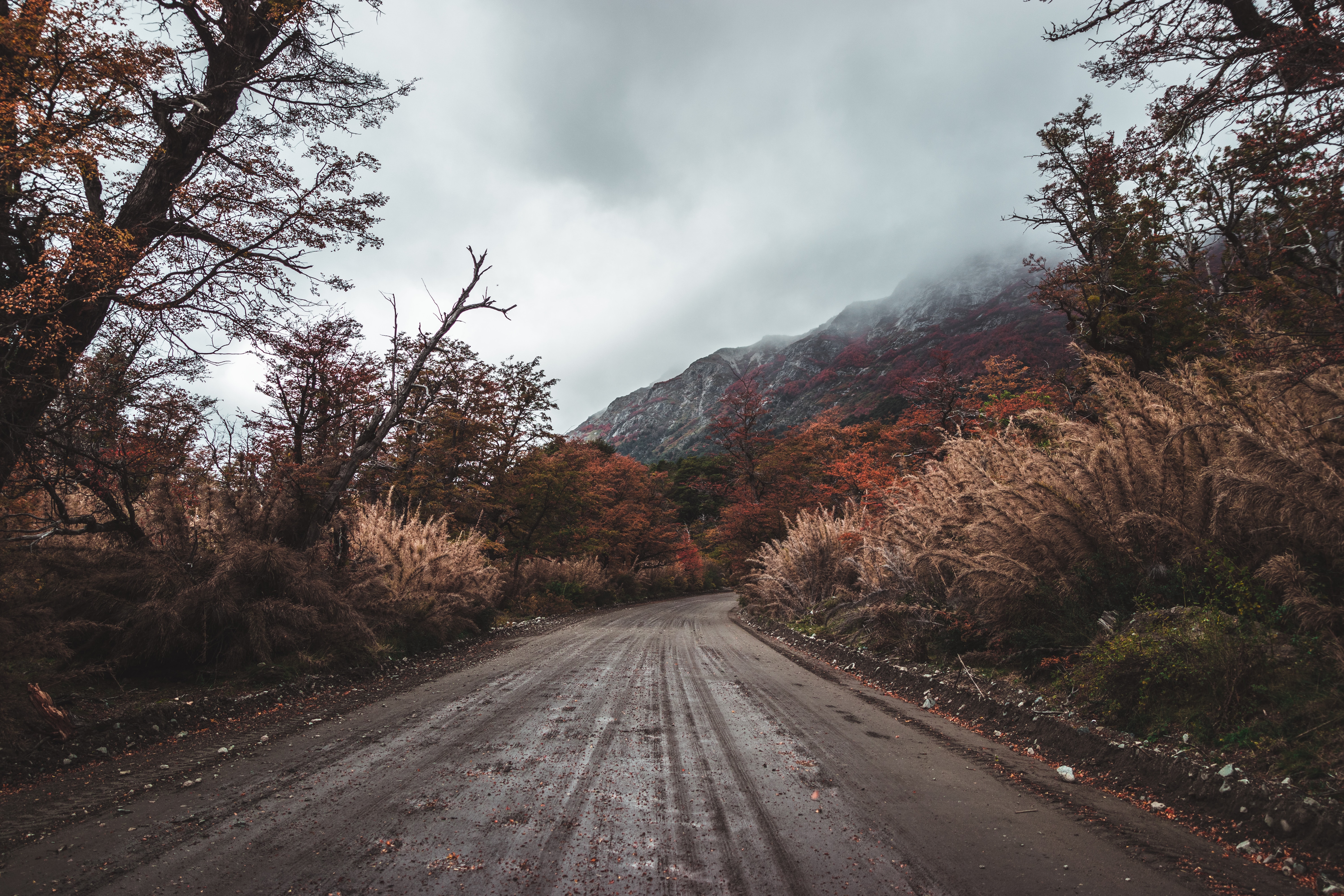 Осень дорога горы
