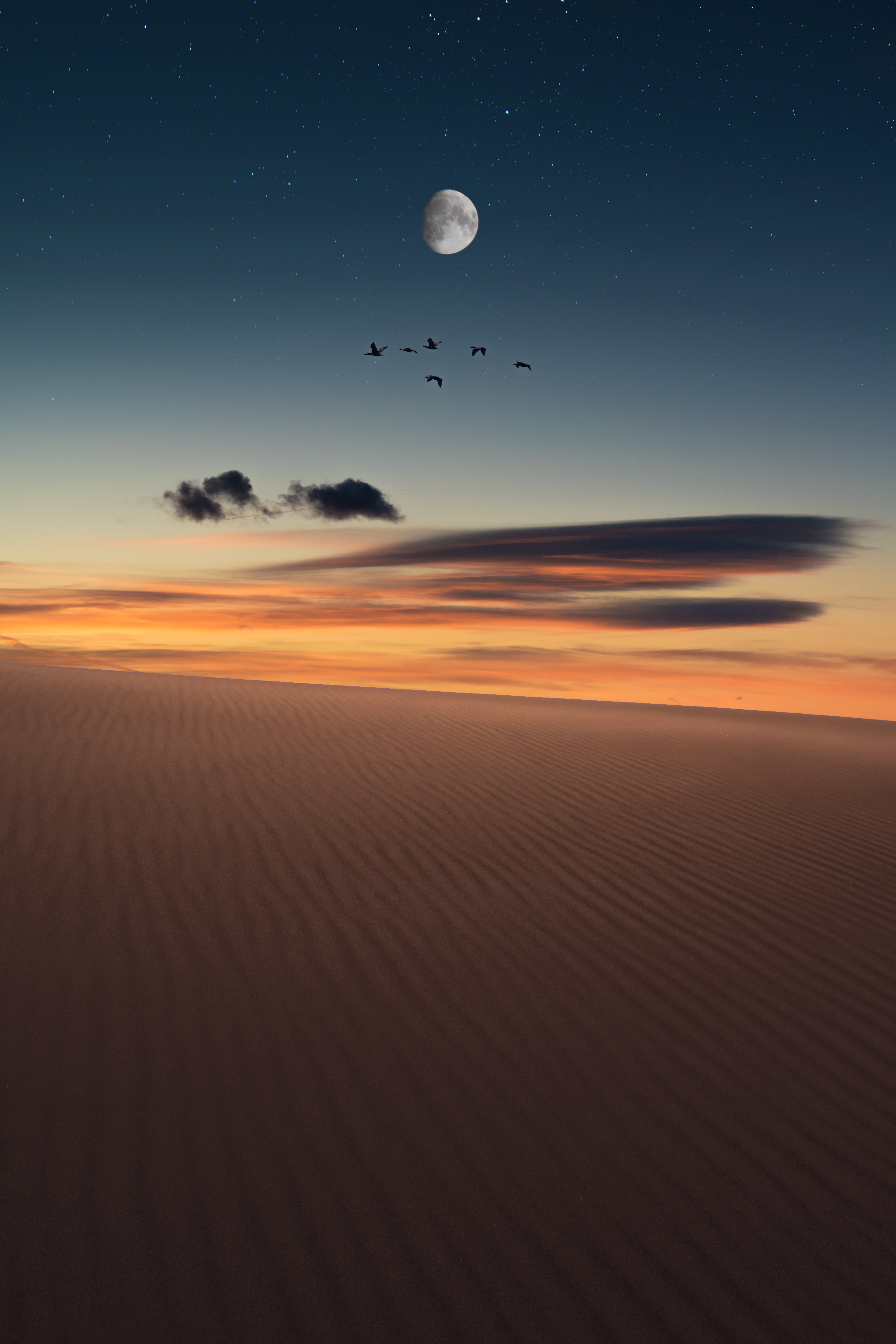 8k Desert Images