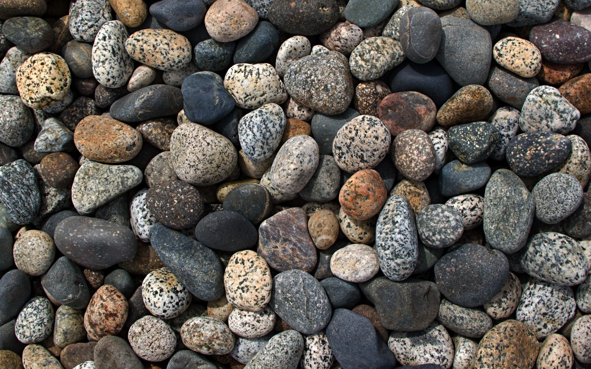 Камни под ногами фото с названиями