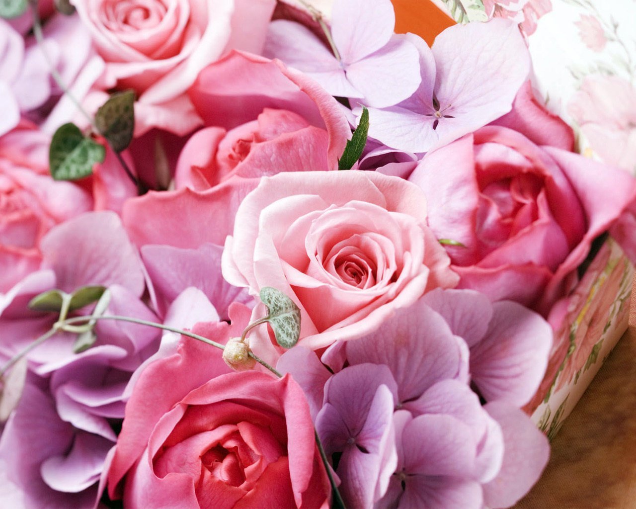 12570 завантажити шпалери квіти, 8 березня, свята, рослини, рози, листівки, червоний - заставки і картинки безкоштовно