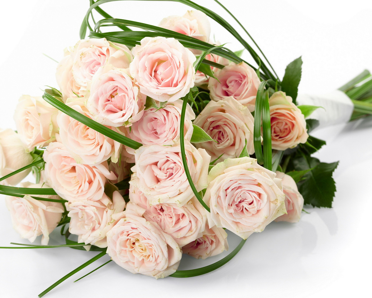 Baixar papel de parede para celular de Flores, Rosas, Plantas, Bouquets gratuito.