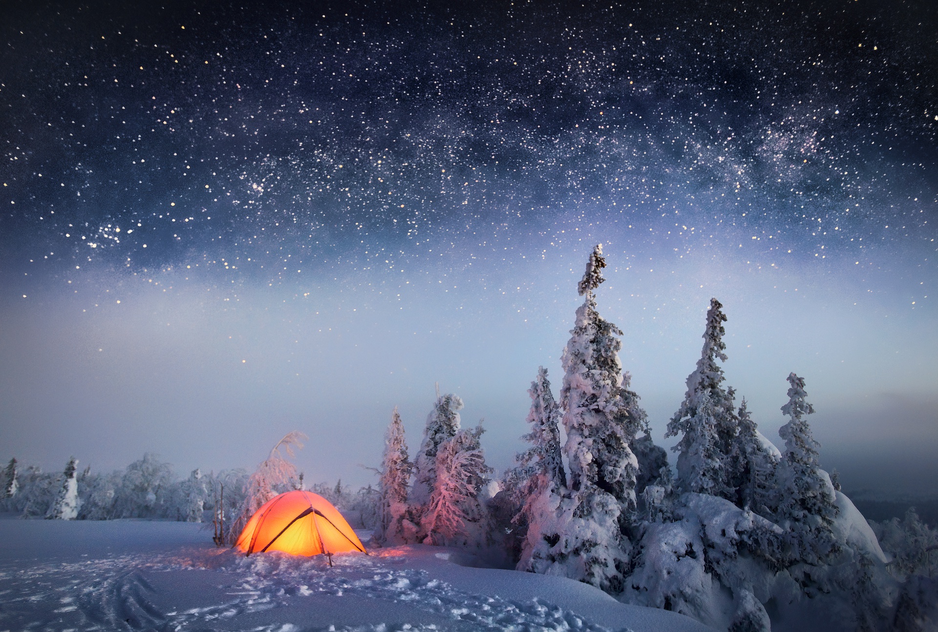 winter, photography, camping, nature, night, sky, snow, stars, tree QHD