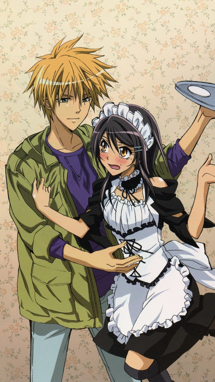Takumi Usui Maid Sama! Misaki Ayuzawa Manga Anime, maid transparent  background PNG clipart | HiClipart