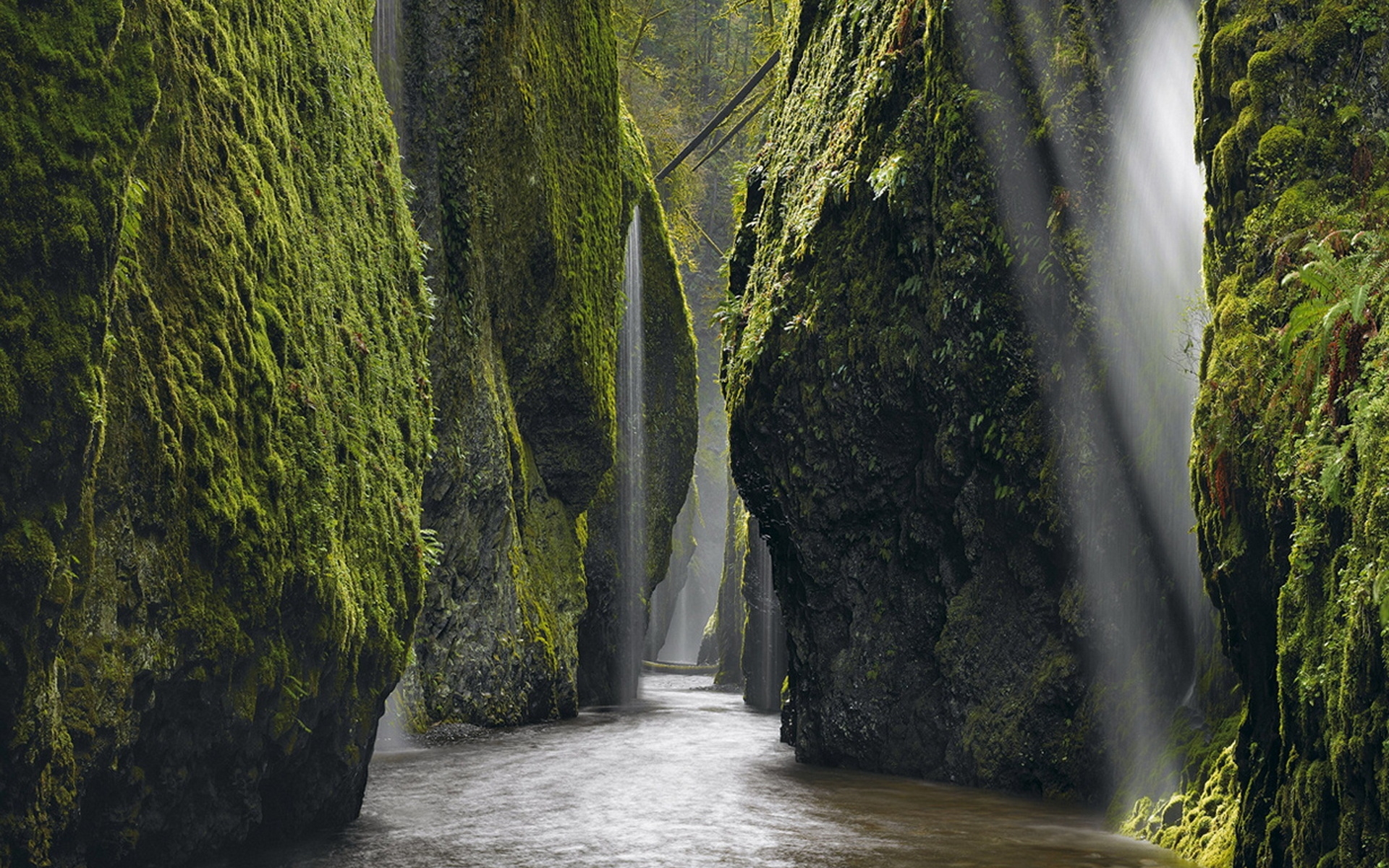 Ущелье Ванонта штат Орегон