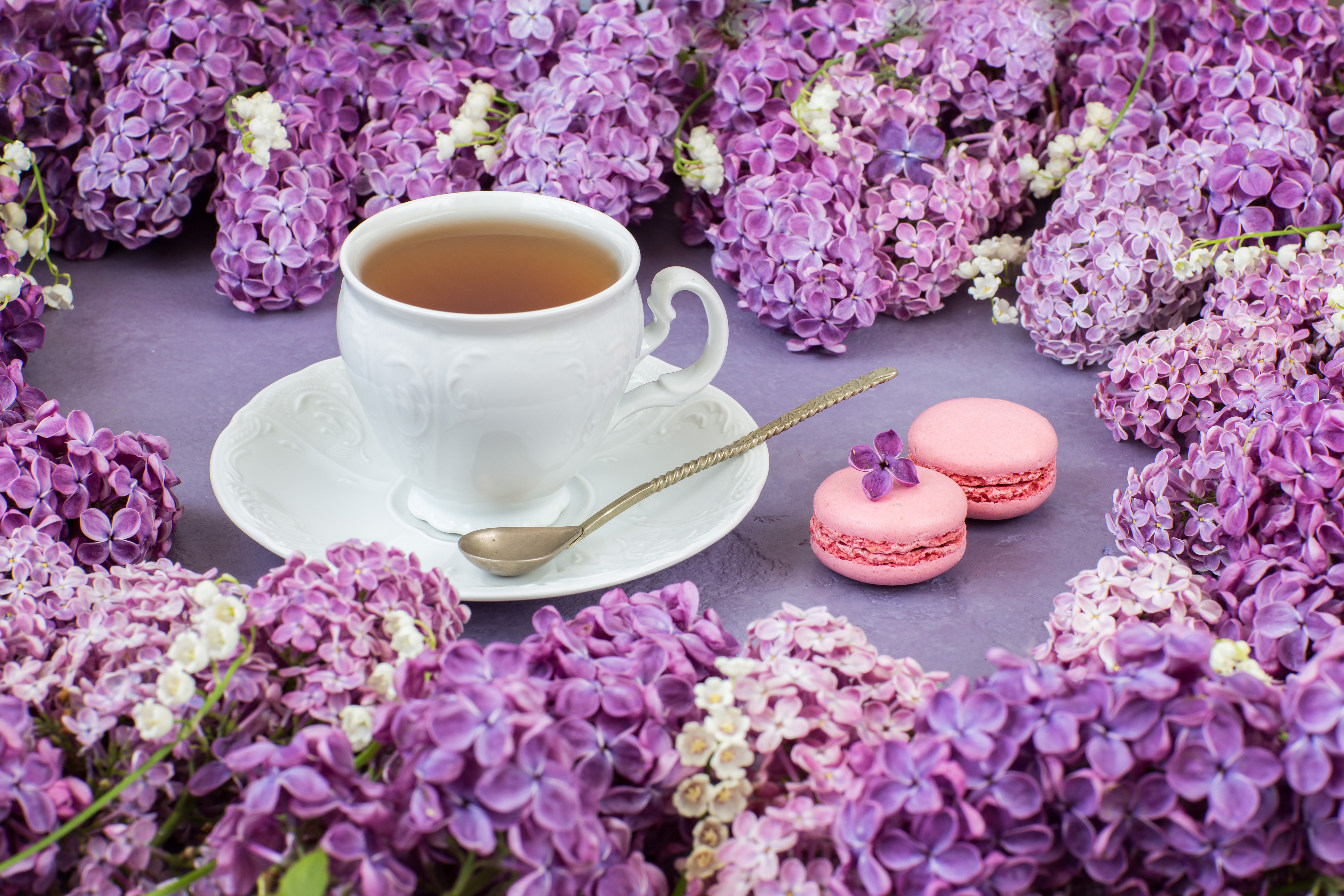 Cups flowers. Цветы в чашке. Сиреневое утро. С добрым утром сирень чай. Чай с сиренью.
