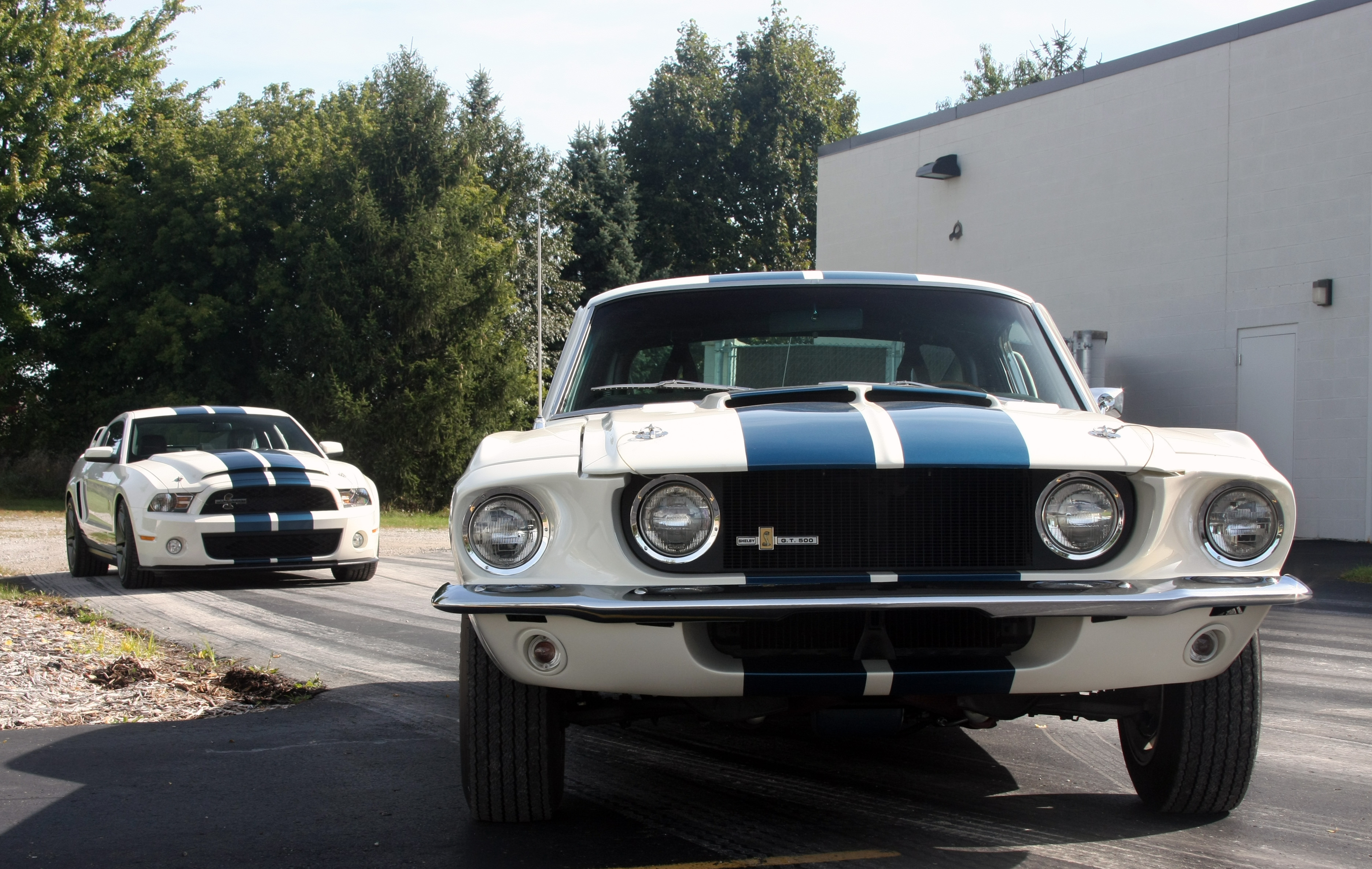 vehicles, shelby gt500, muscle car, white car, ford