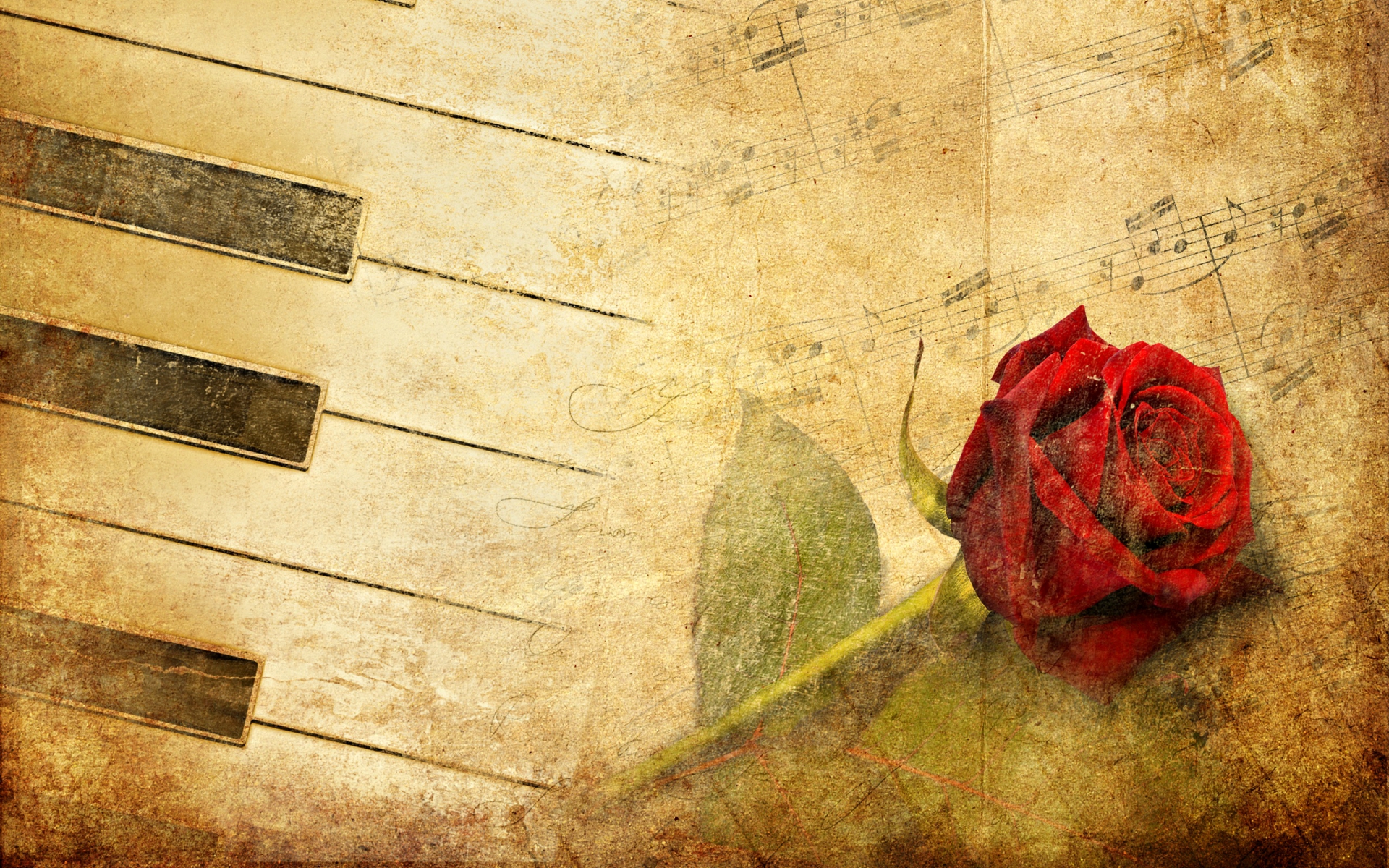 551637 скачать картинку роза, музыка, фортепиано, цветок, ноты - обои и заставки бесплатно