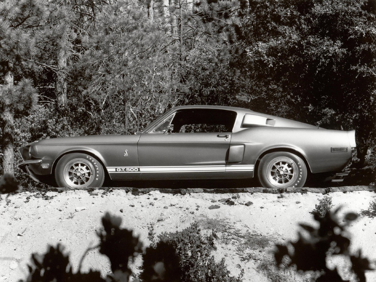 vehicles, fastback, muscle car, shelby gt500 QHD