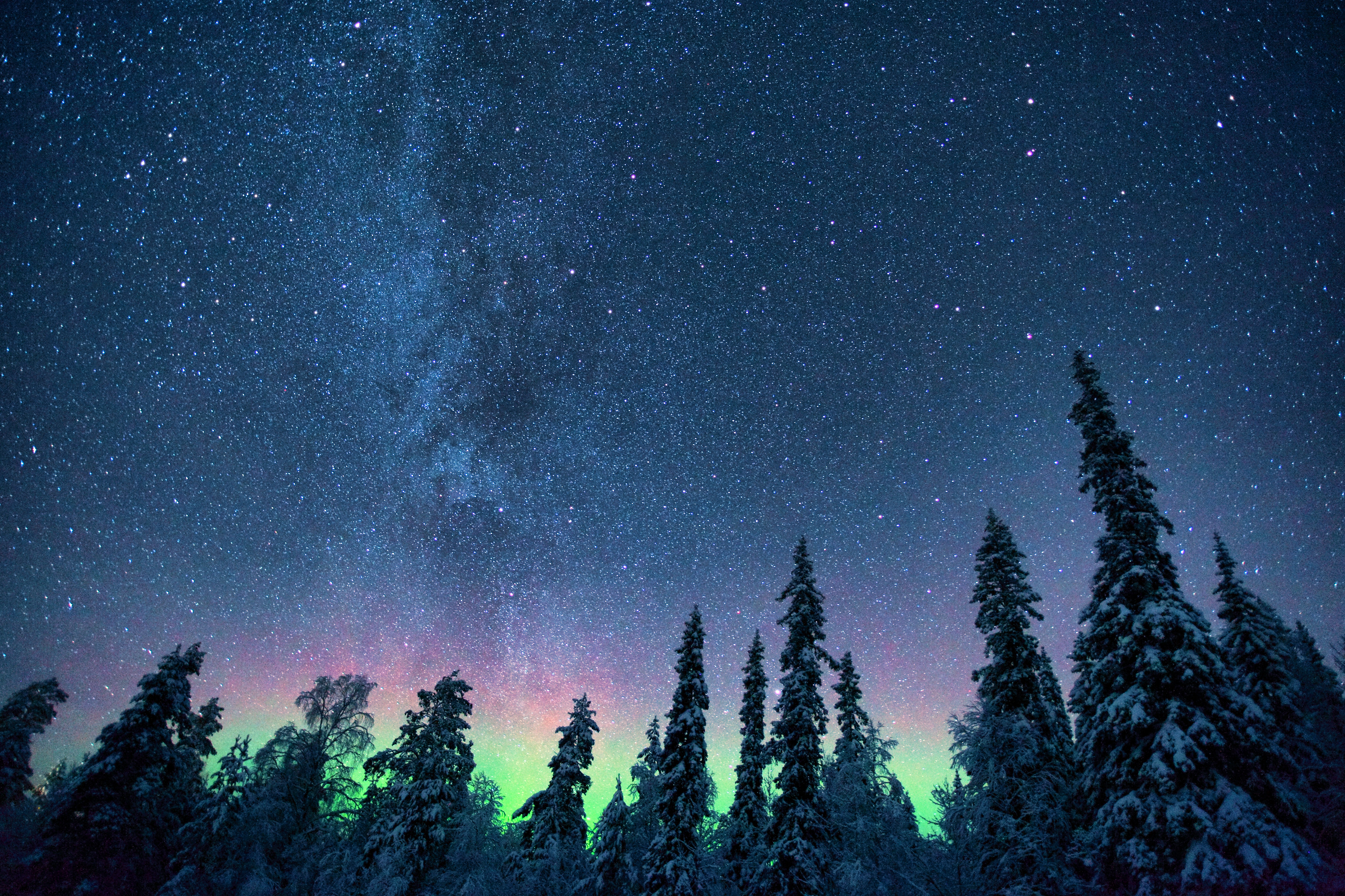87004 descargar fondo de pantalla aurora boreal, naturaleza, árboles, cielo estrellado, auroras boreales: protectores de pantalla e imágenes gratis