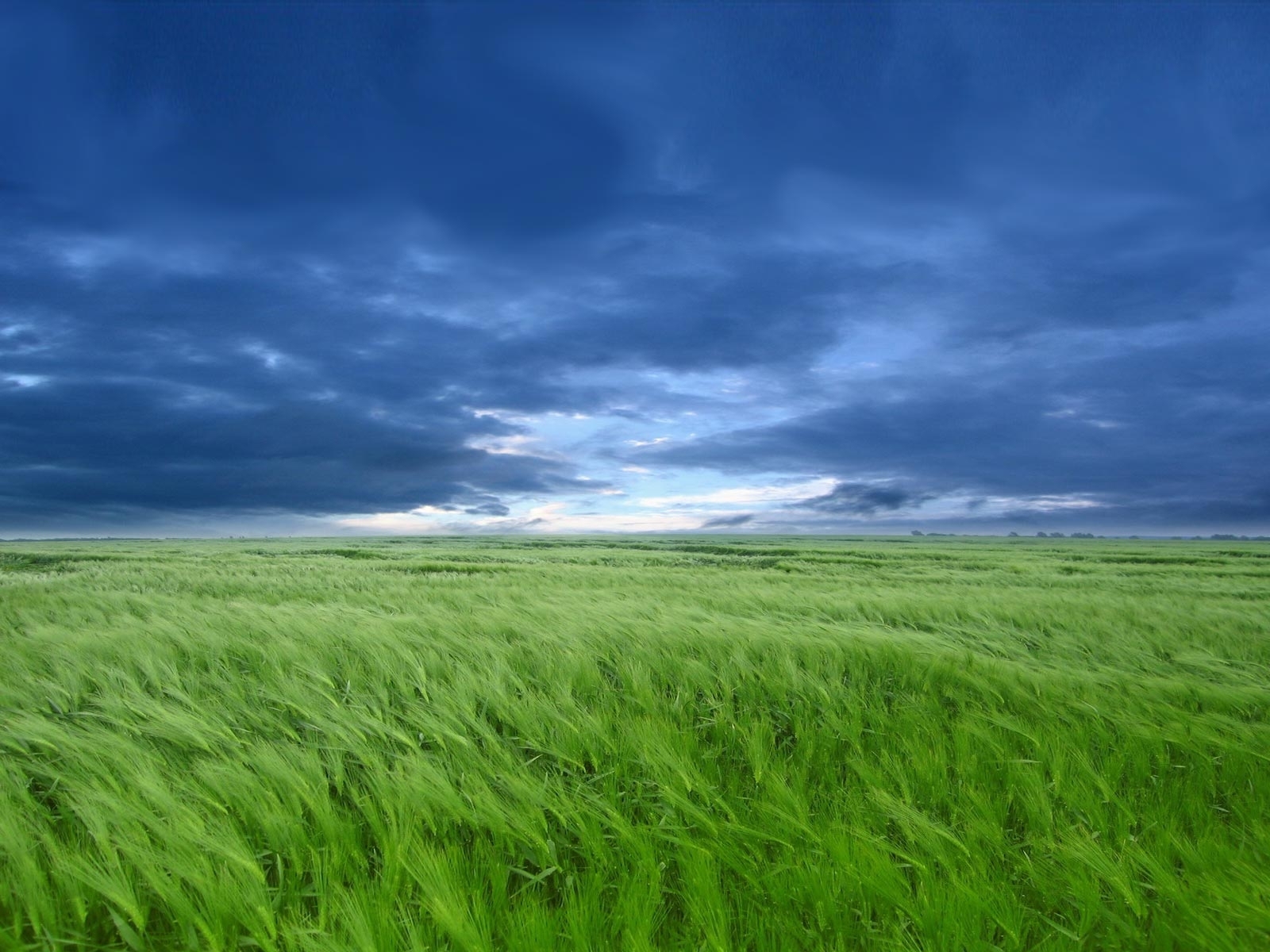 sky, art, landscape, grass, blue