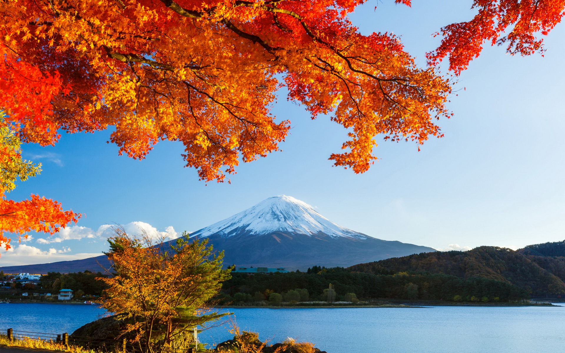 Япония Момидзи горы