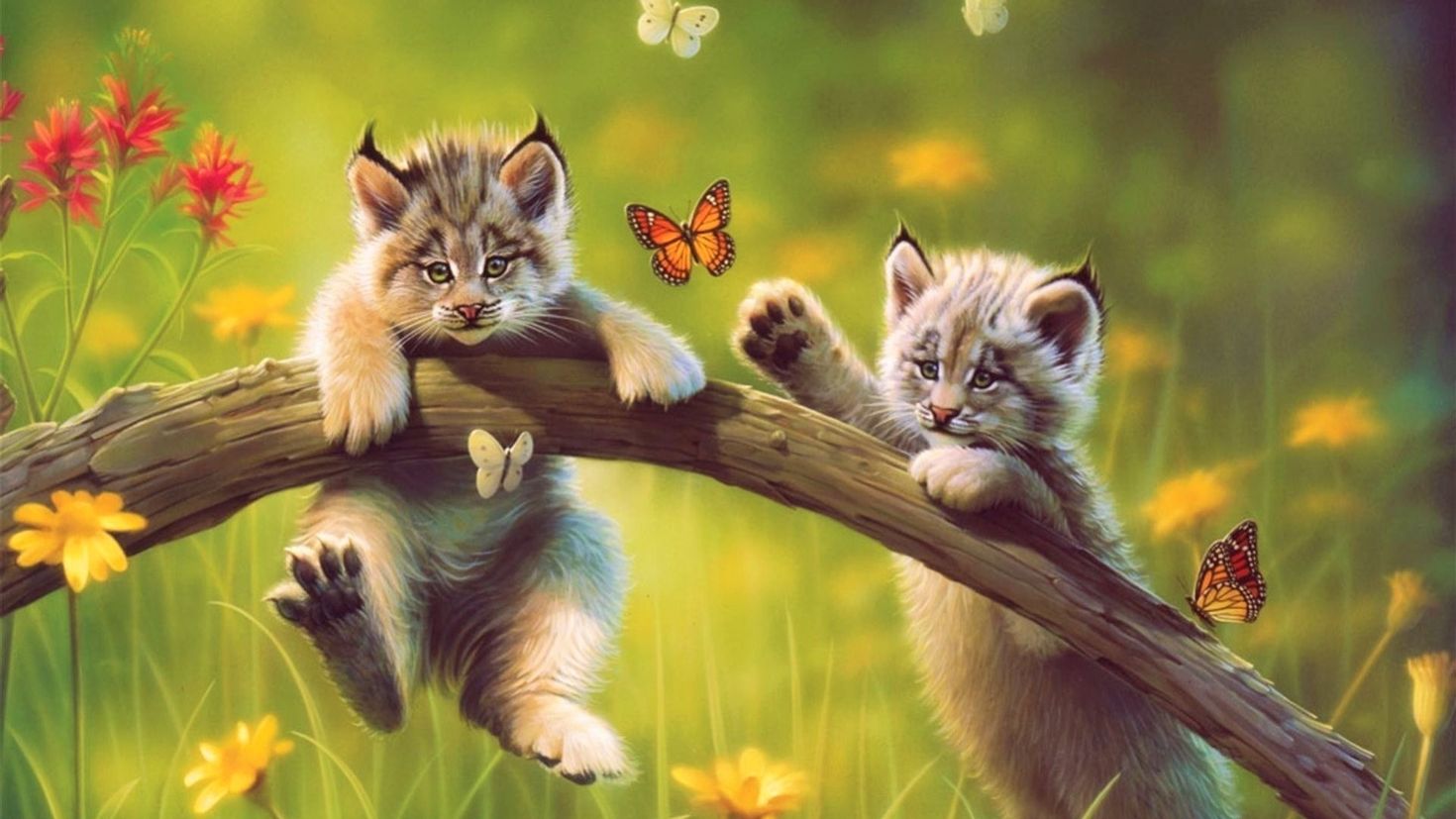Картинки с добрым утром весенние с котами. Пейзаж с животными. Котенок с бабочкой. Кошка на природе. Картинки природа и животные.