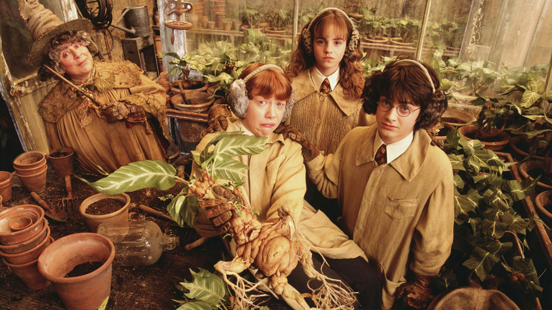 harry potter and the chamber of secrets, movie, daniel radcliffe, emma watson, harry potter, hermione granger, miriam margolyes, pomona sprout, ron weasley, rupert grint