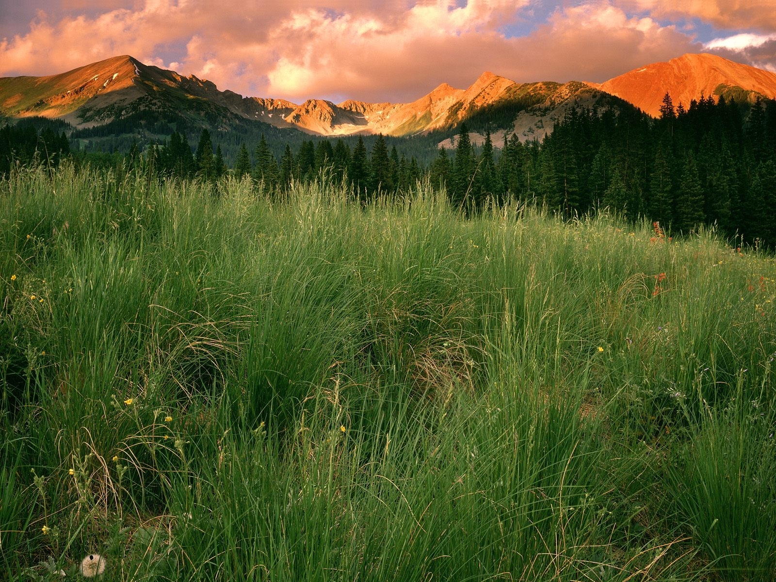 Download mobile wallpaper Grass, Mountains, Landscape for free.