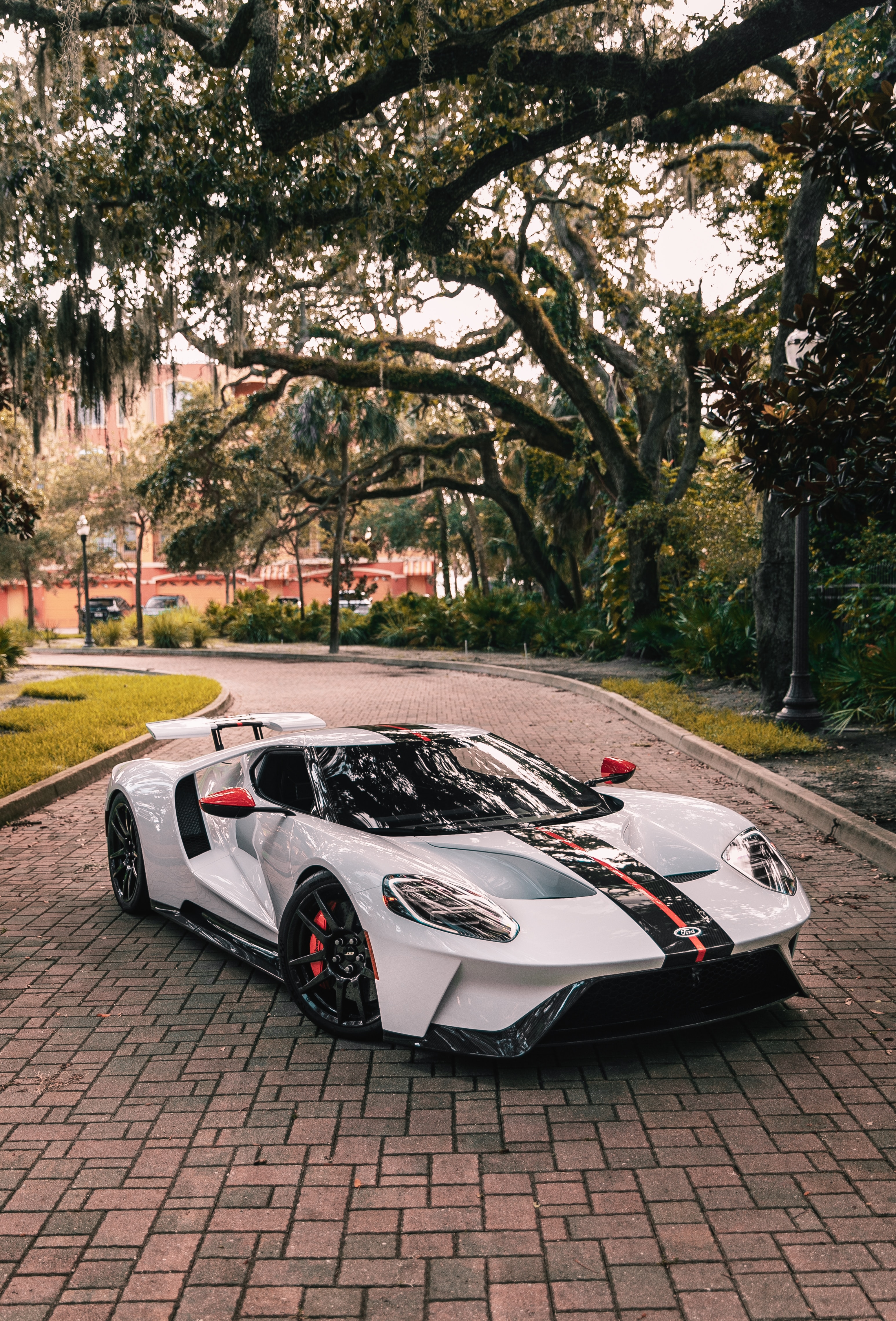 sports car, cars, ford gt, side view, sports, ford, white