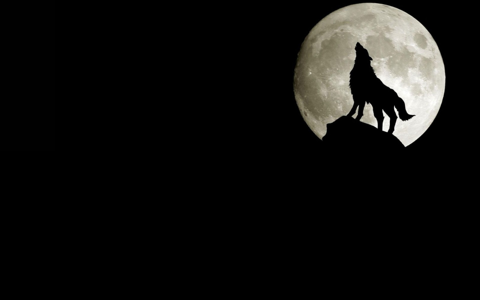 Волк в темноте обои