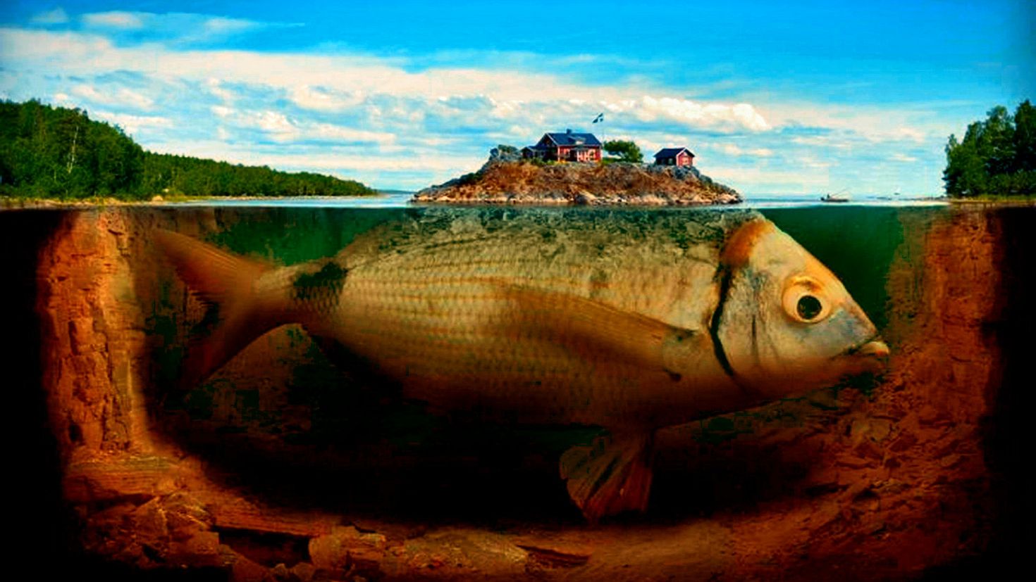 Город рыба 6. Крутая рыба. Рыба остров. Фиш Айленд. Erik Johansson.