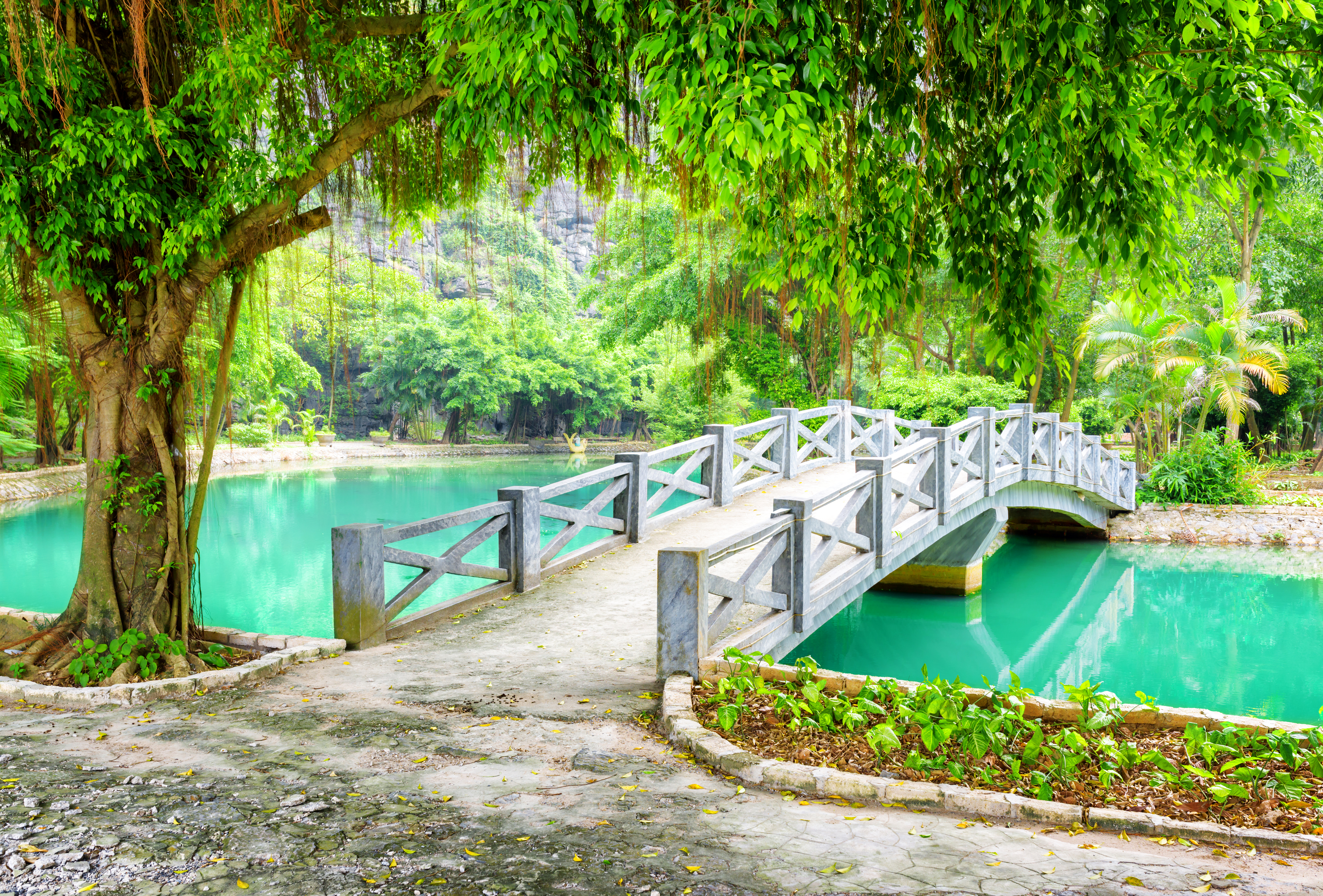 1528645 скачать обои мосты, парк, мост, сделано человеком, зеленый, дерево, тропический, вьетнам - заставки и картинки бесплатно
