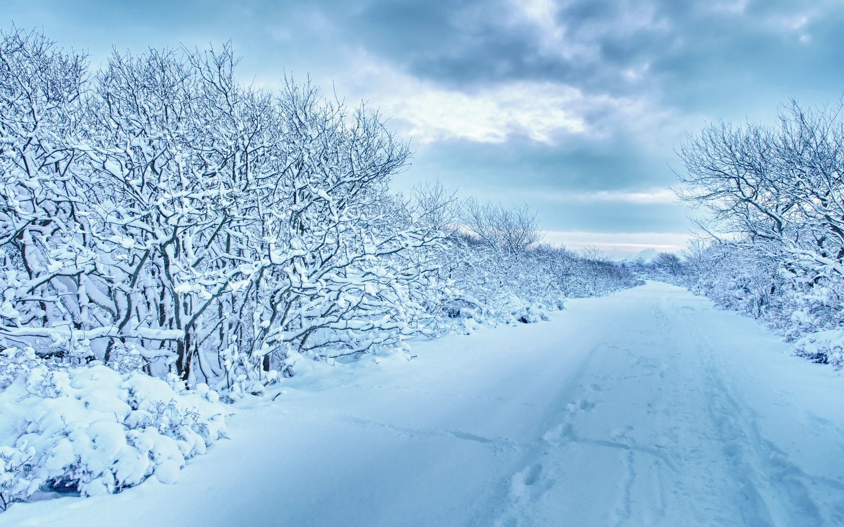 133353 завантажити картинку зима, природа, дерева, сніг, дорога, похмуро, похмурий, сліди - шпалери і заставки безкоштовно
