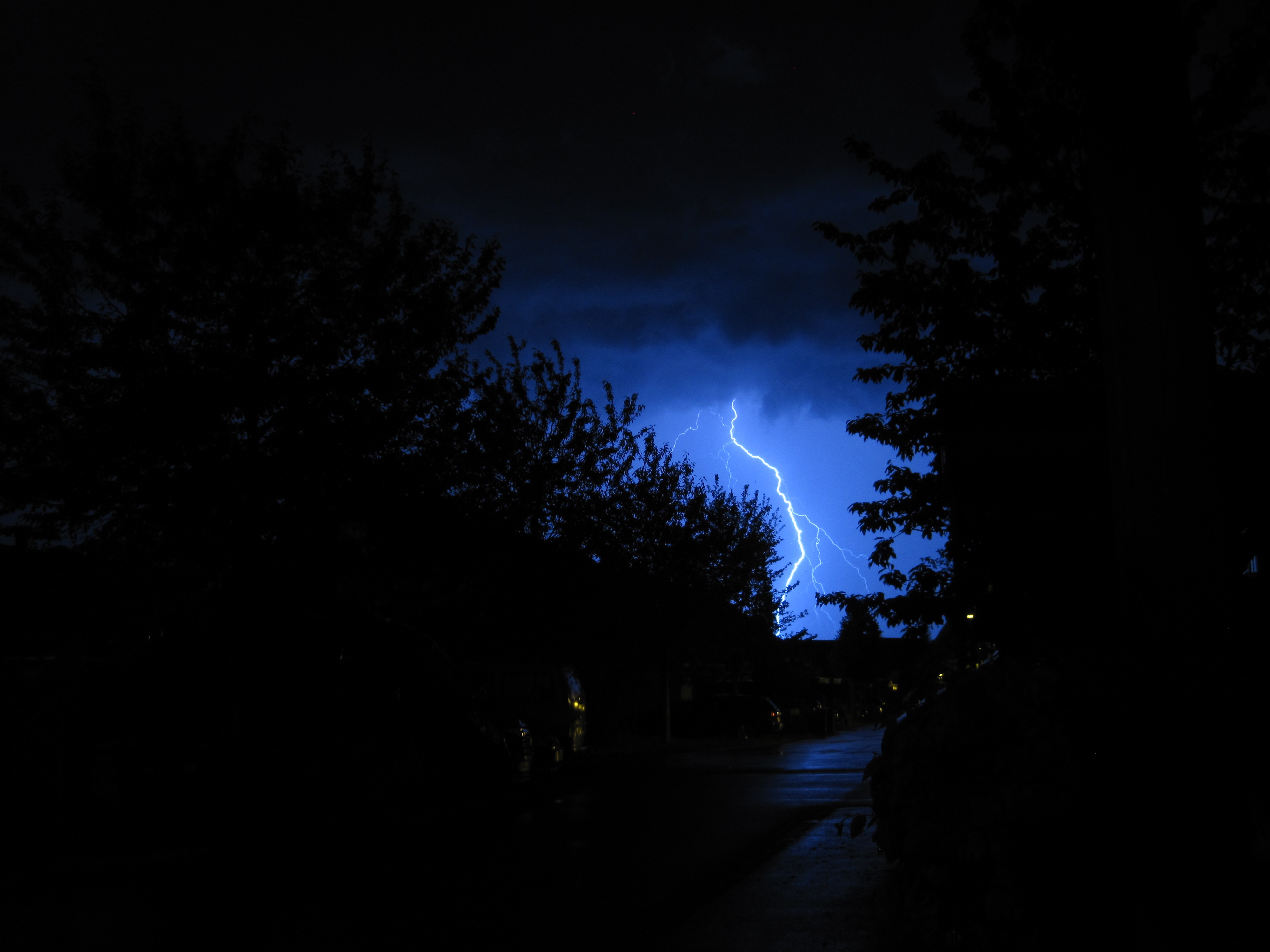 Download mobile wallpaper Mainly Cloudy, Overcast, Sky, Trees, Night, Dark, Lightning for free.