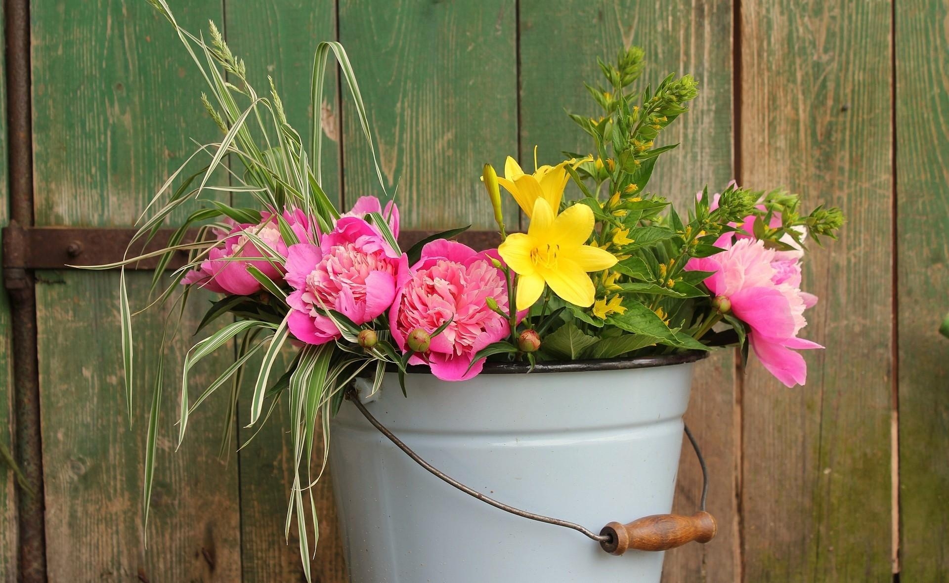 flowers, peonies, greens, fence, lily, bucket wallpapers for tablet