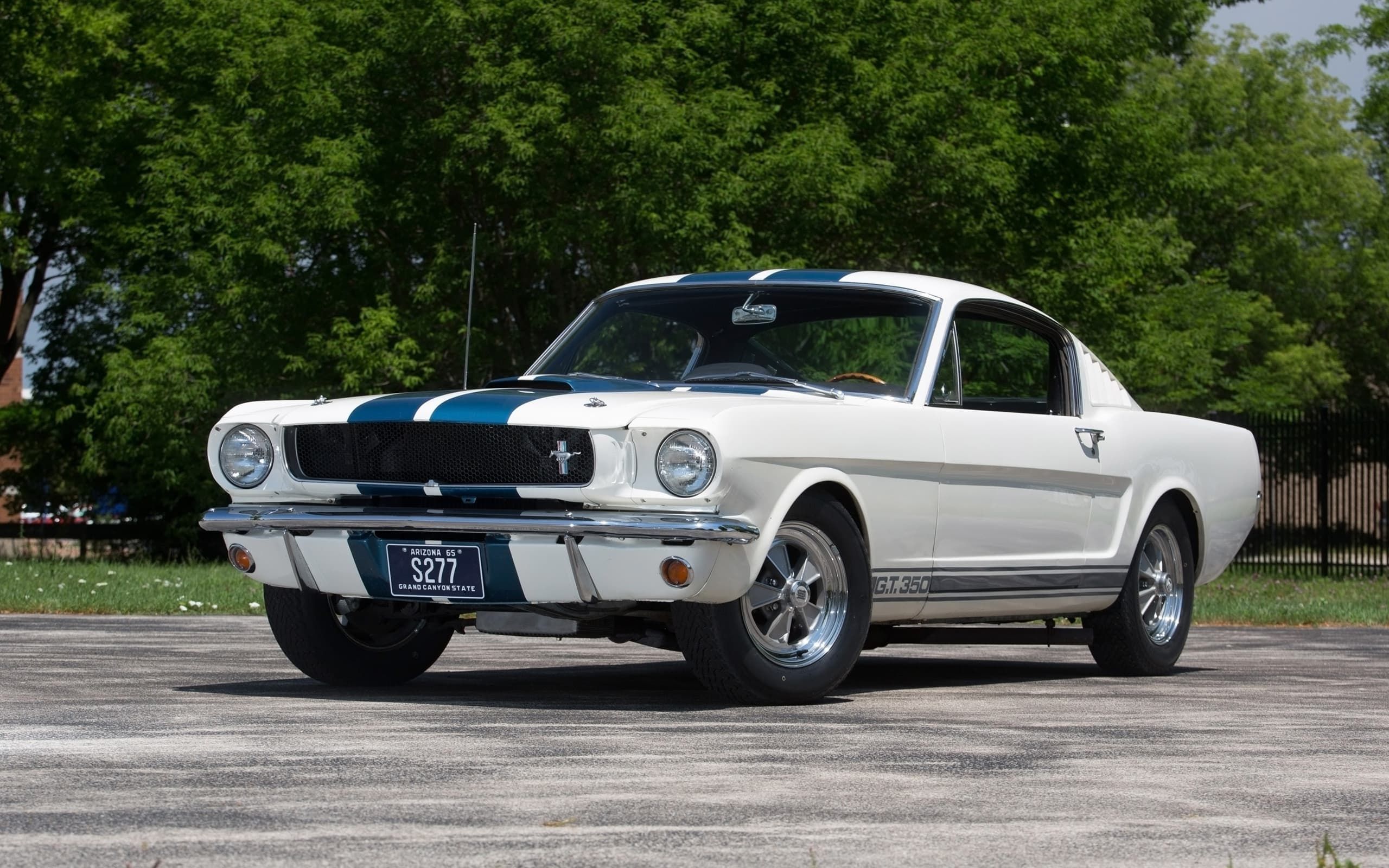 Ford Mustang Shelby Fastback 1965