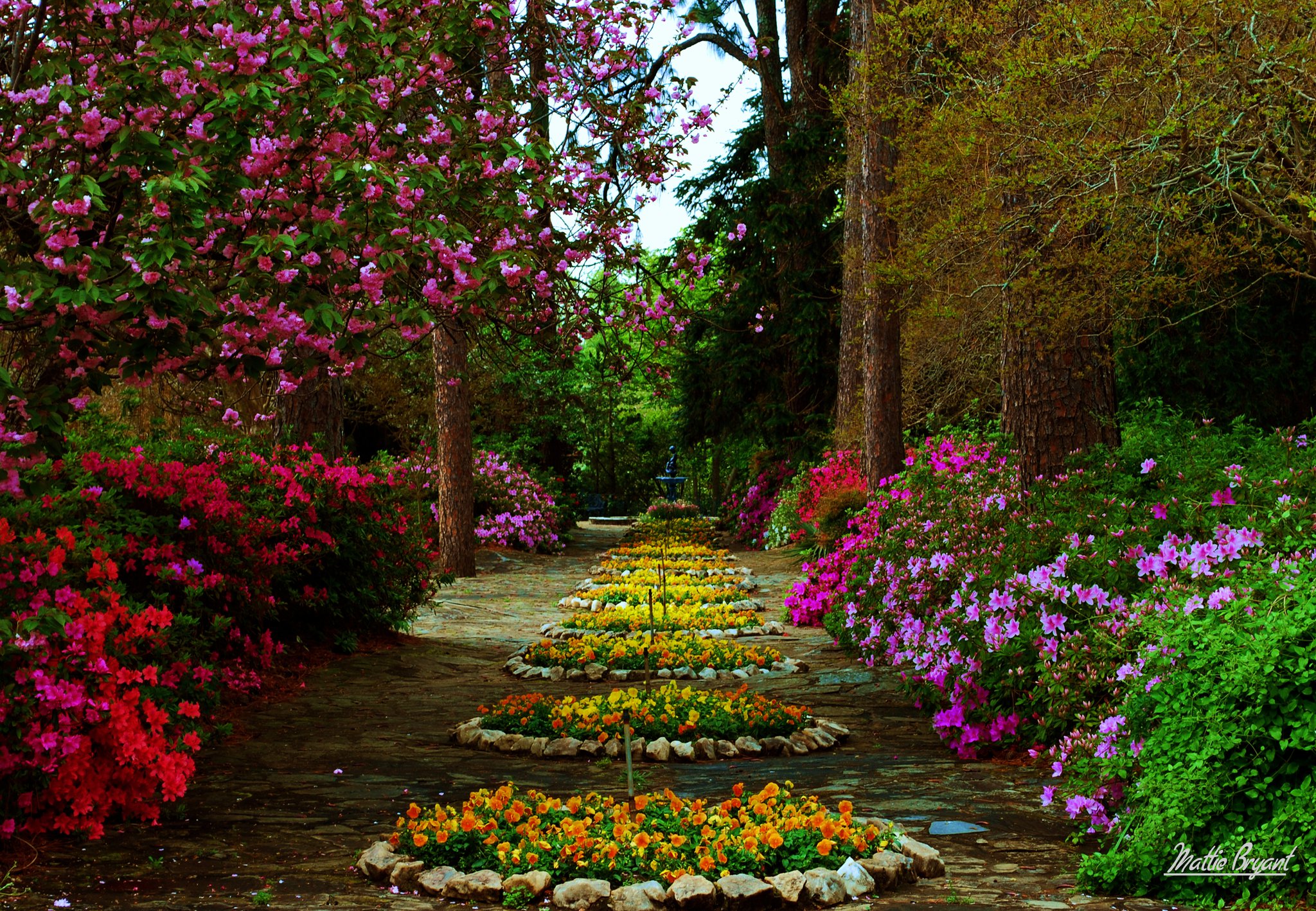 Цветущие сады парки