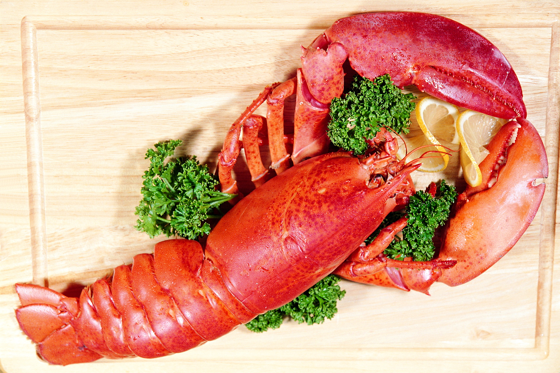 food, lobster Full HD