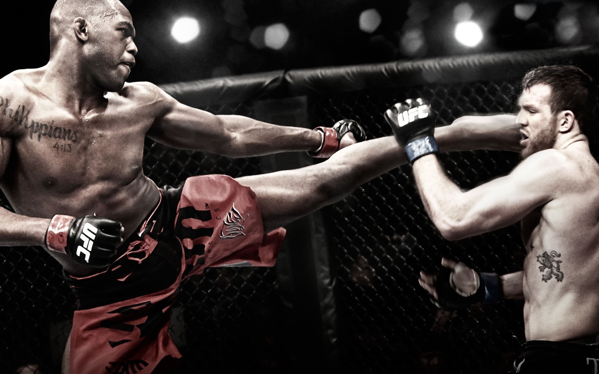 Download mobile wallpaper Mixed Martial Arts, Sports for free.