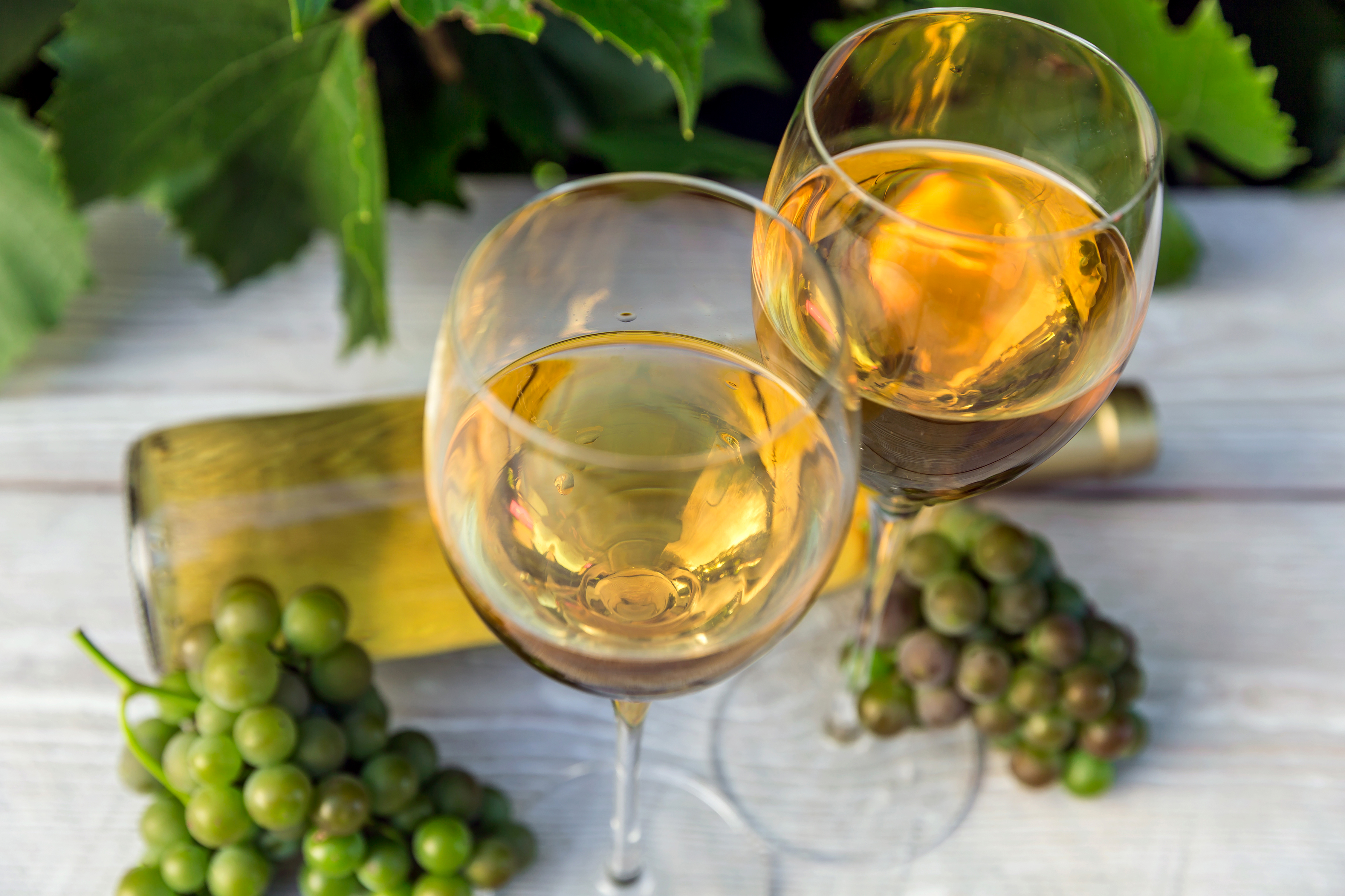 Сухие виноградные вина