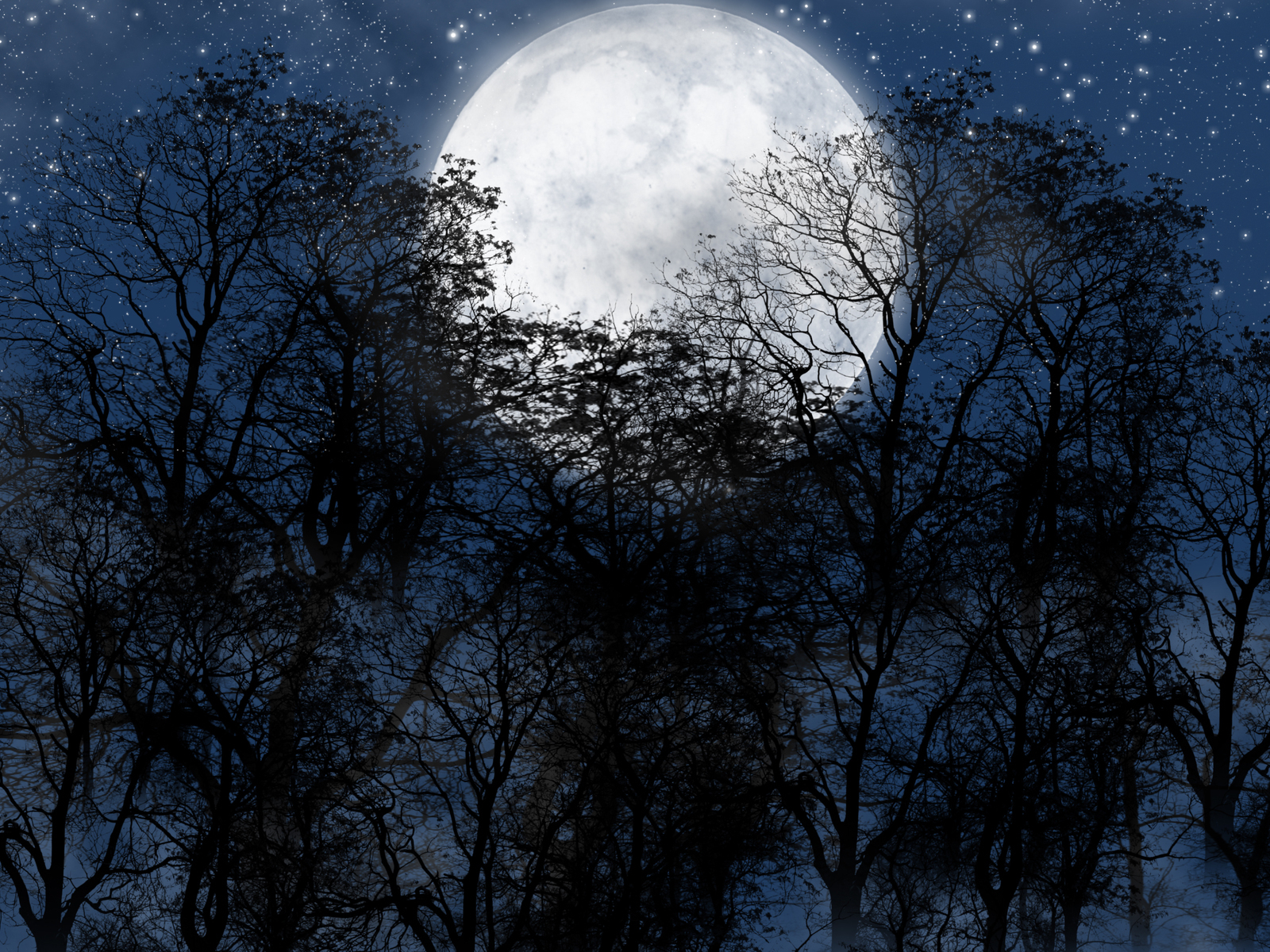 Download mobile wallpaper Landscape, Trees, Night, Moon for free.