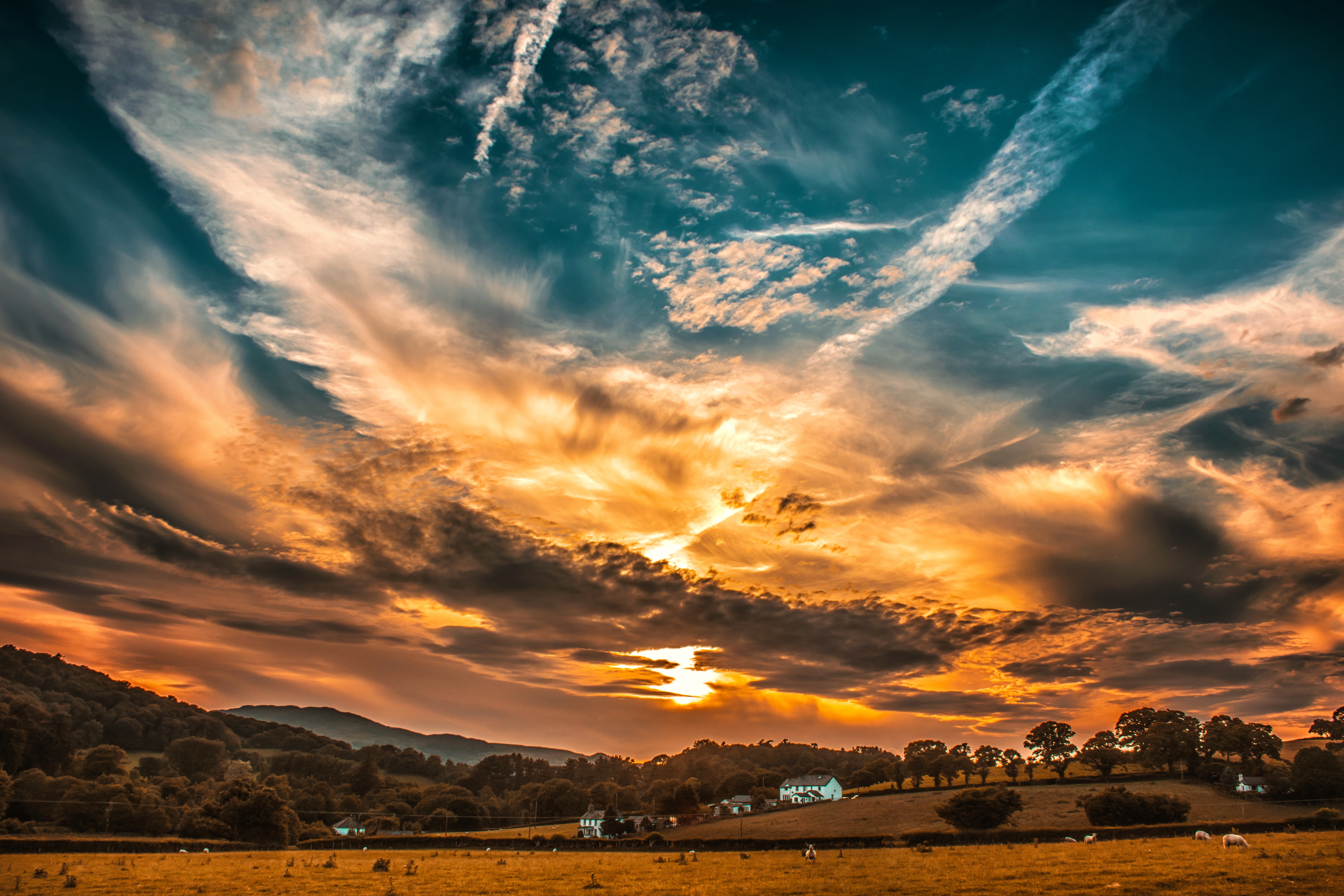 71651 Hintergrundbild herunterladen sunset, clouds, bäume, natur, sky, horizont, feld - Bildschirmschoner und Bilder kostenlos