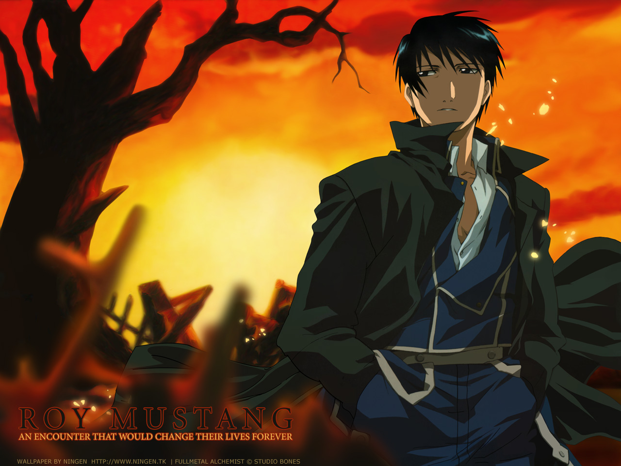 Roy (Fire Emblem) - Fire Emblem: Fuuin no Tsurugi - Zerochan Anime Board HD  phone wallpaper | Pxfuel