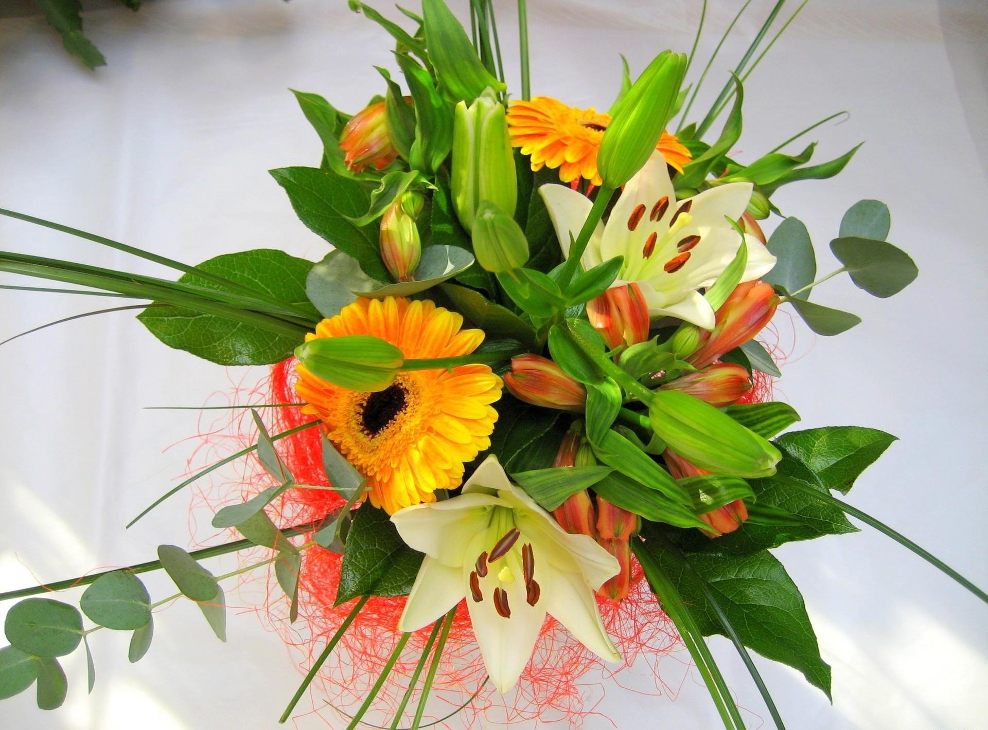 flowers, lilies, gerberas, registration, typography, bouquet