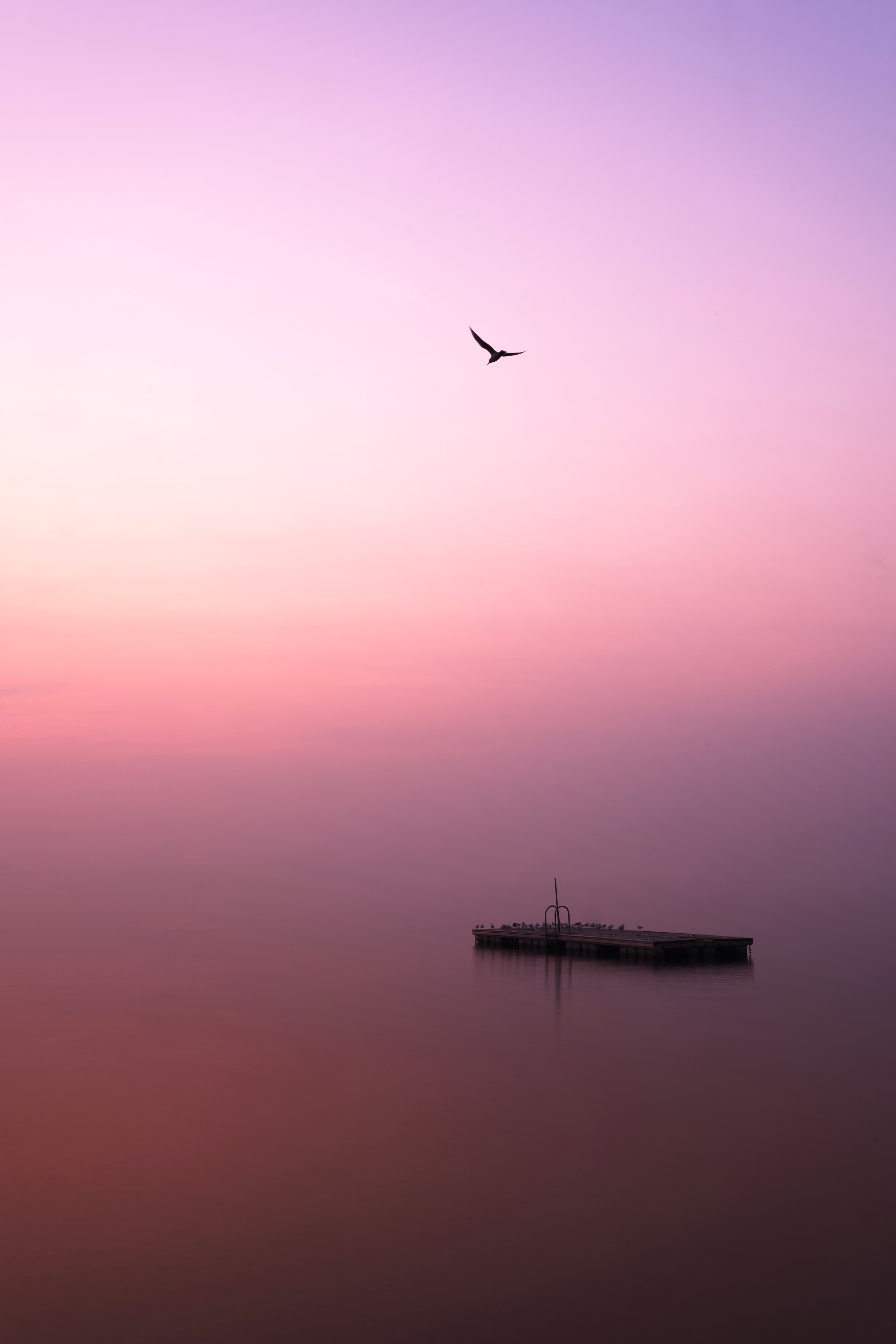 pier, minimalism, birds, lake, fog