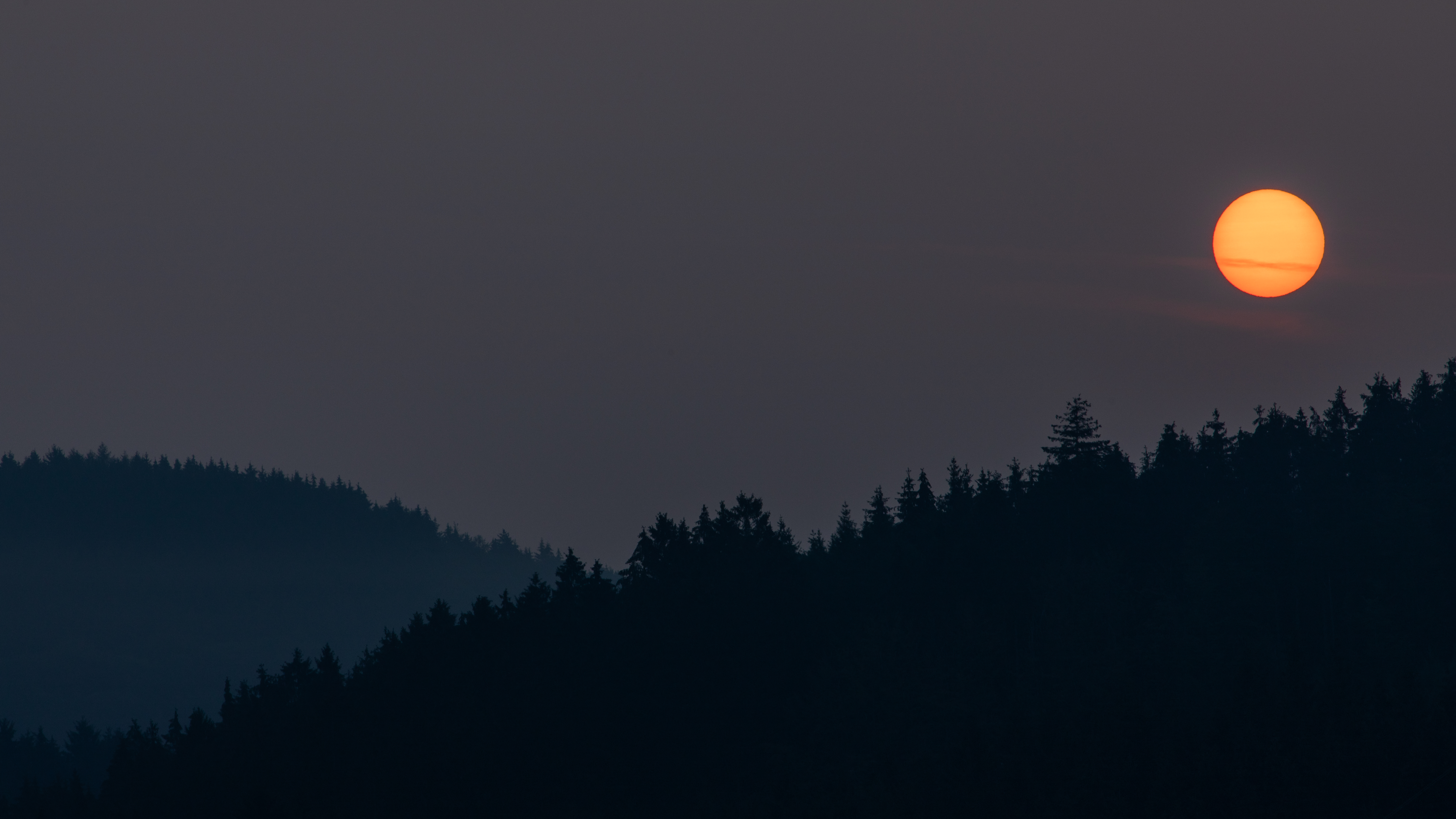night, dark, landscape, moon, forest Desktop Wallpaper